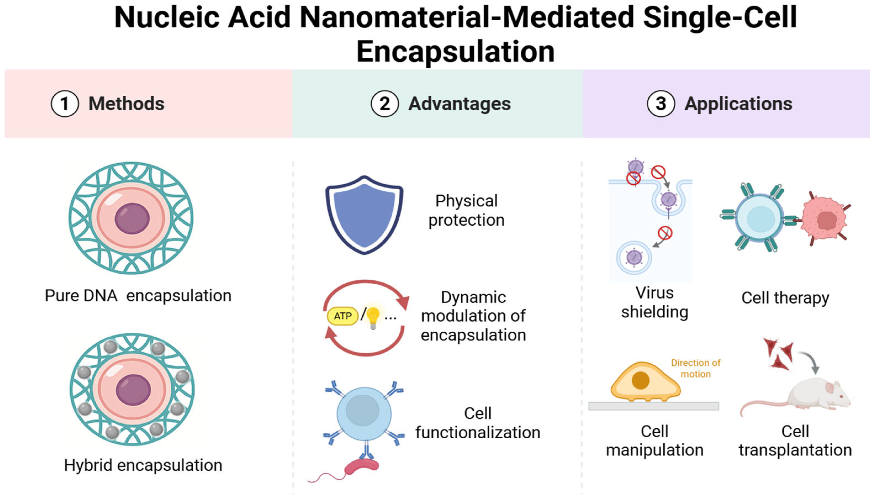 Biosensors 15 00712 g001 Biosensors 15 00712 g001