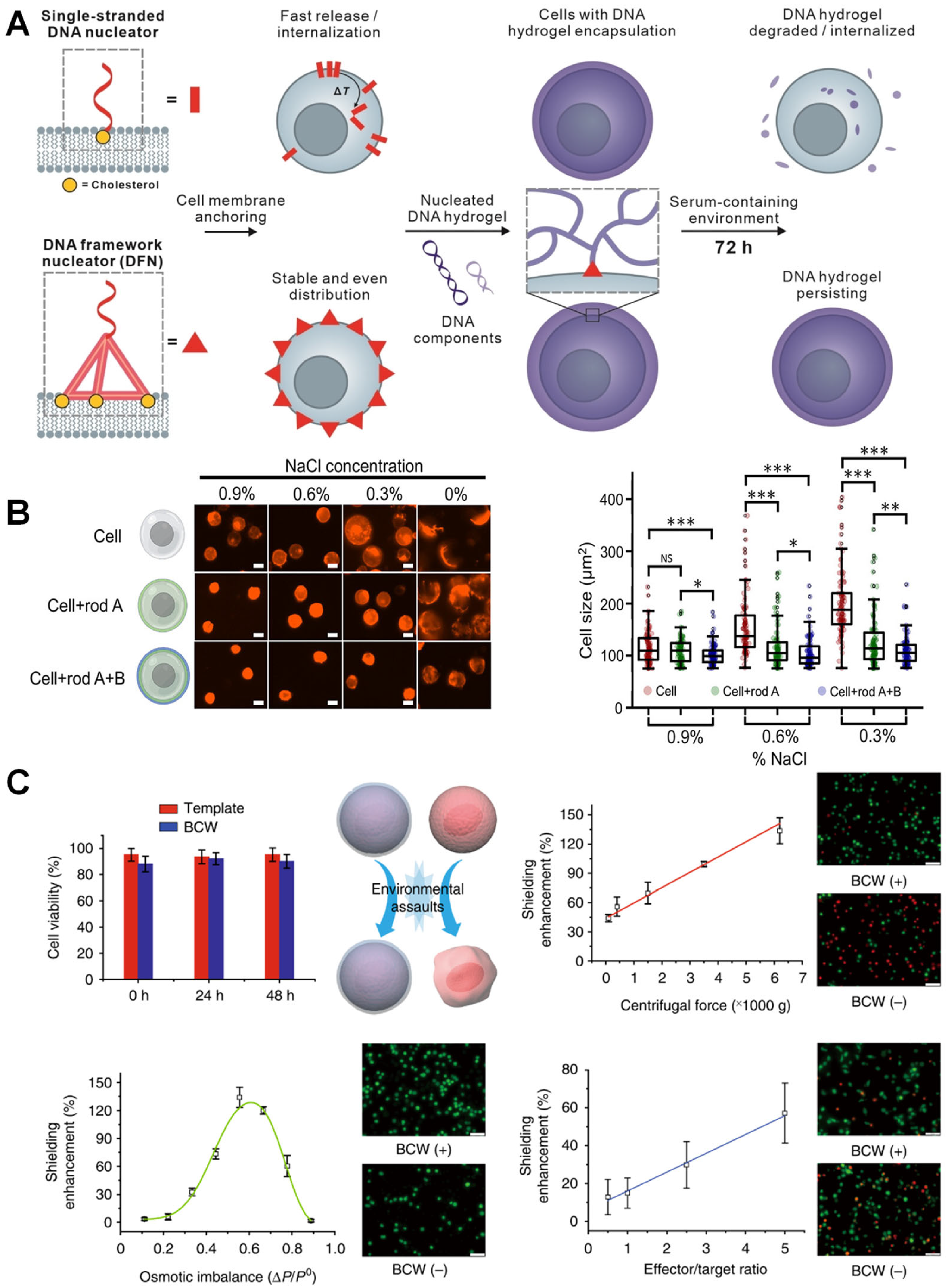 Biosensors 15 00712 g003 Biosensors 15 00712 g003