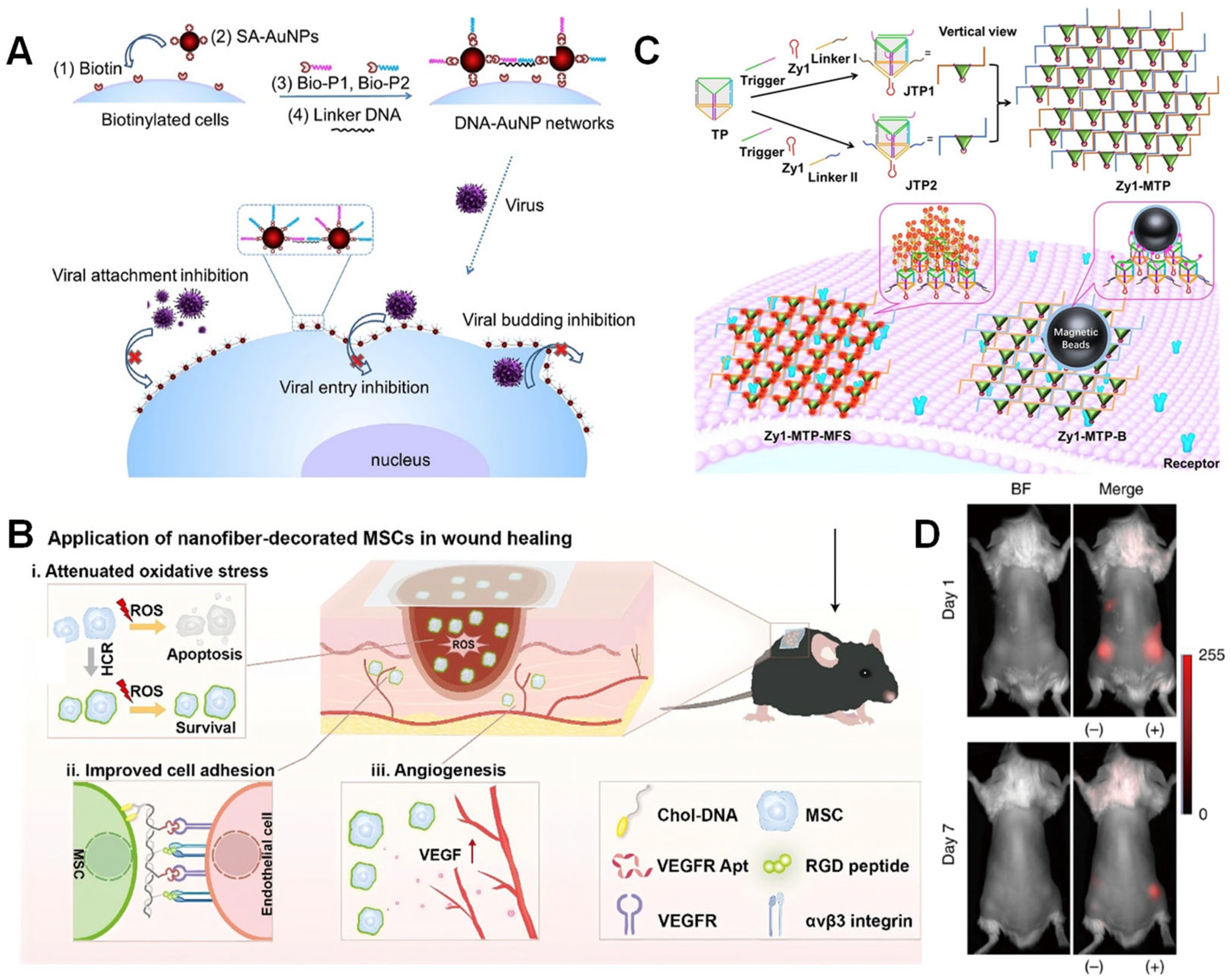Biosensors 15 00712 g006 Biosensors 15 00712 g006