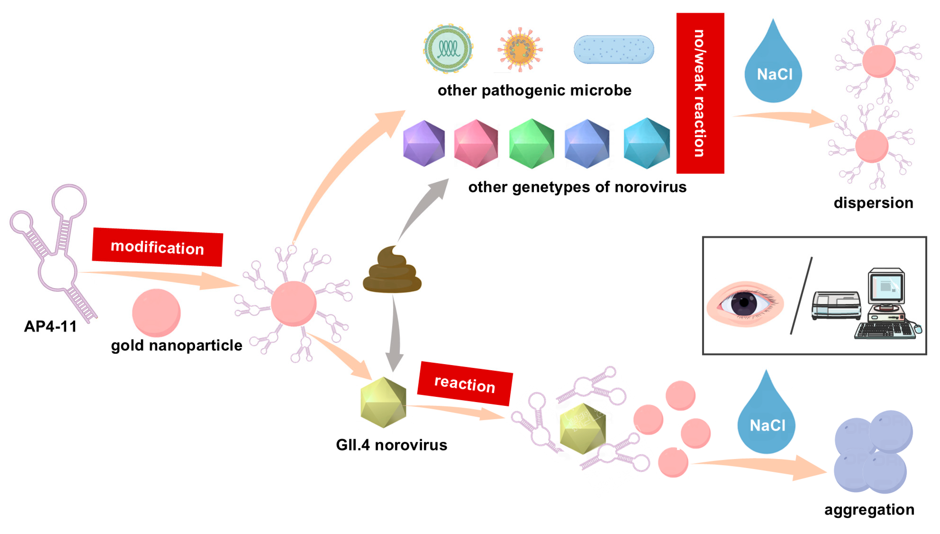 Biosensors 15 00713 g001 Biosensors 15 00713 g001