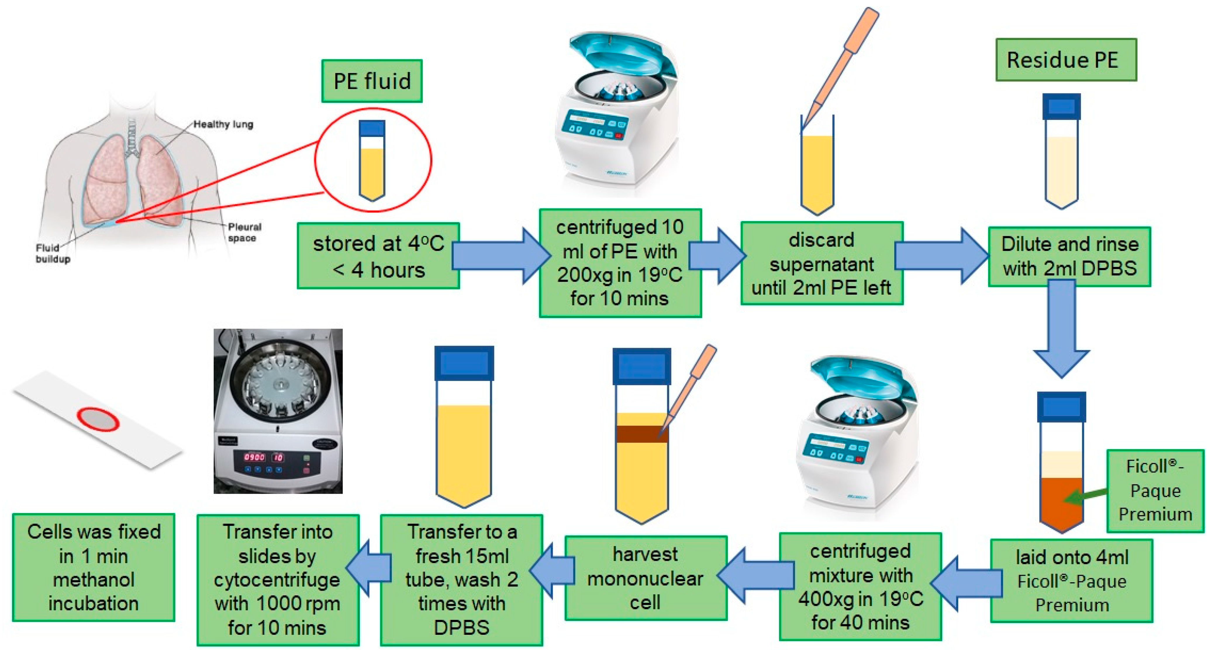 Biosensors 15 00714 g001 Biosensors 15 00714 g001