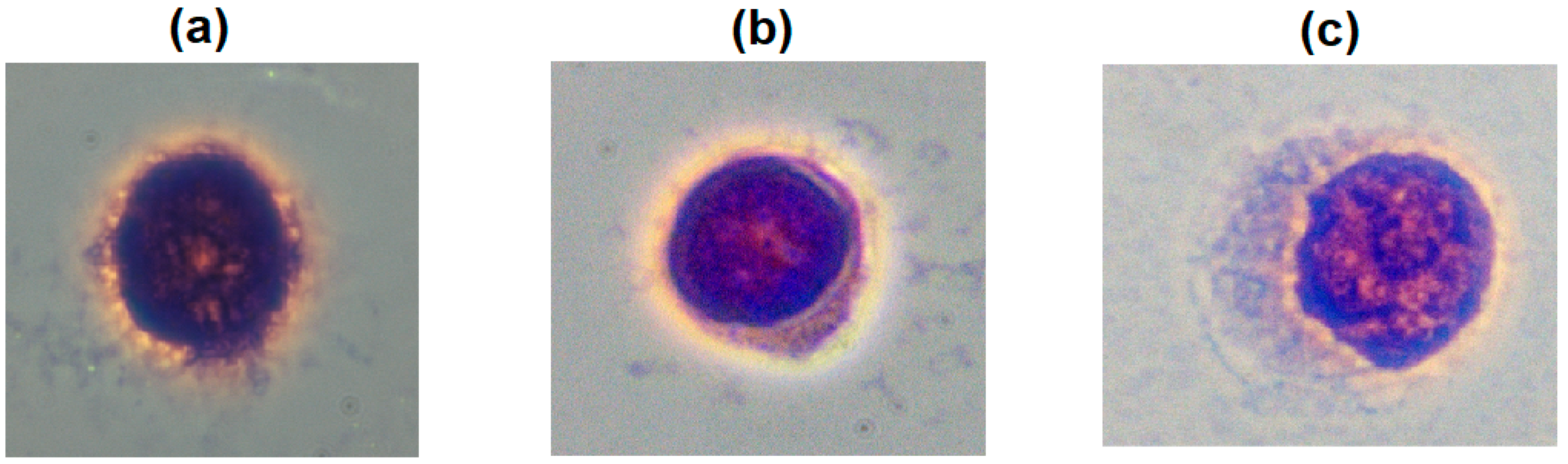 Biosensors 15 00714 g003 Biosensors 15 00714 g003