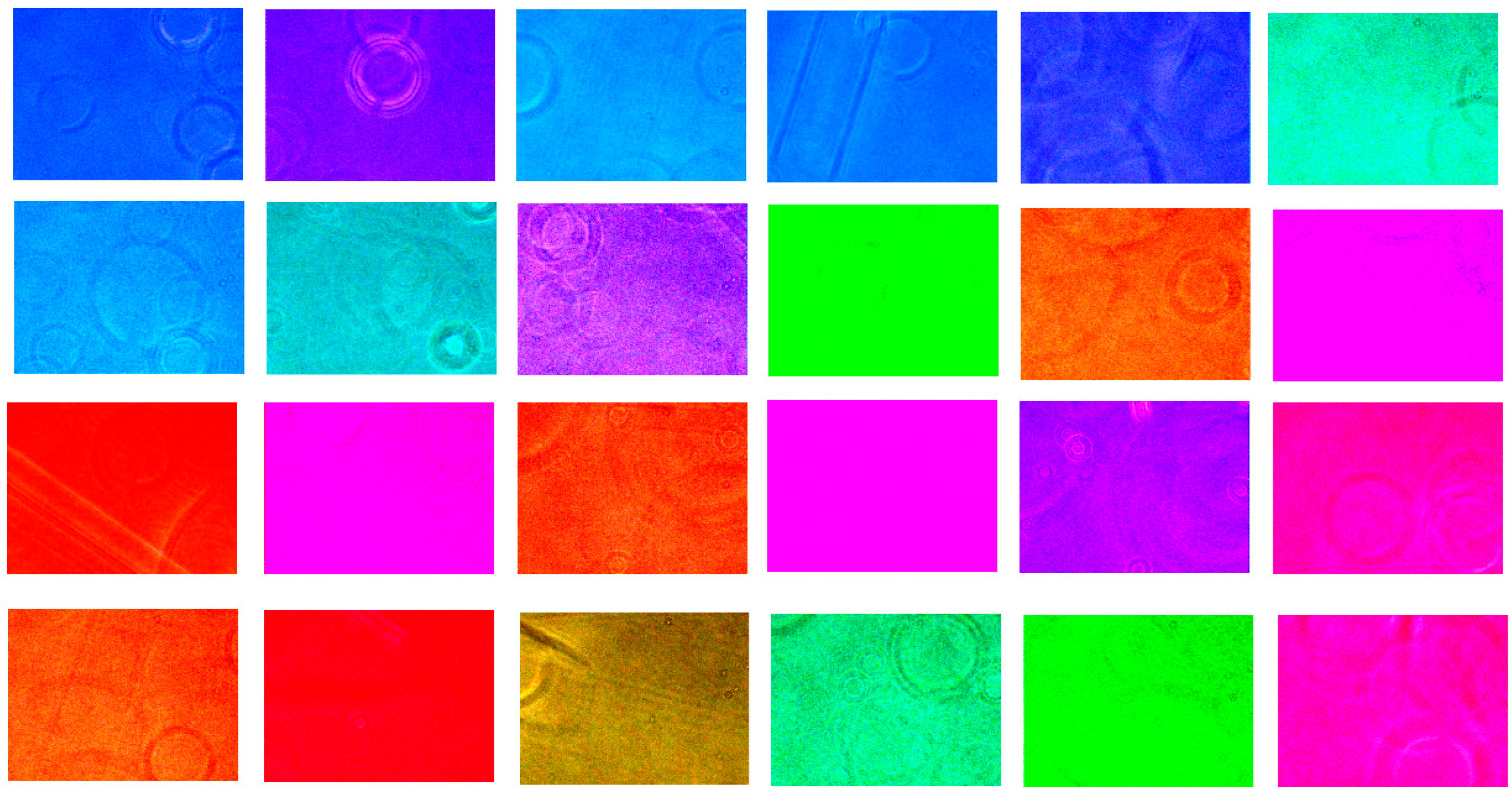 Biosensors 15 00714 g006 Biosensors 15 00714 g006