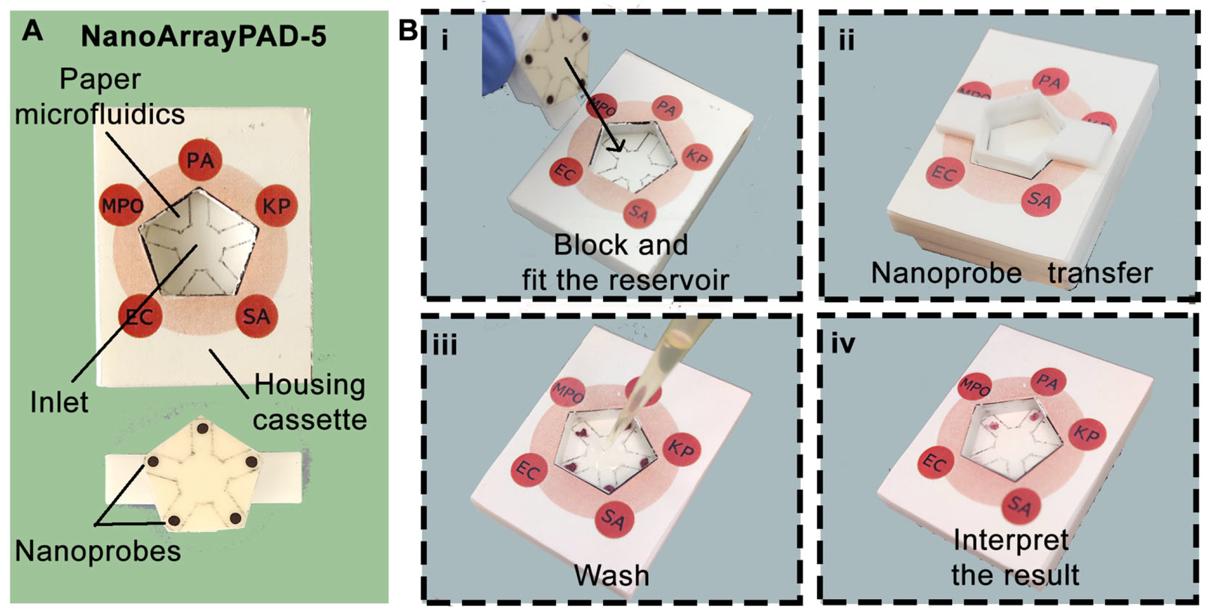 Biosensors 15 00715 g001 Biosensors 15 00715 g001