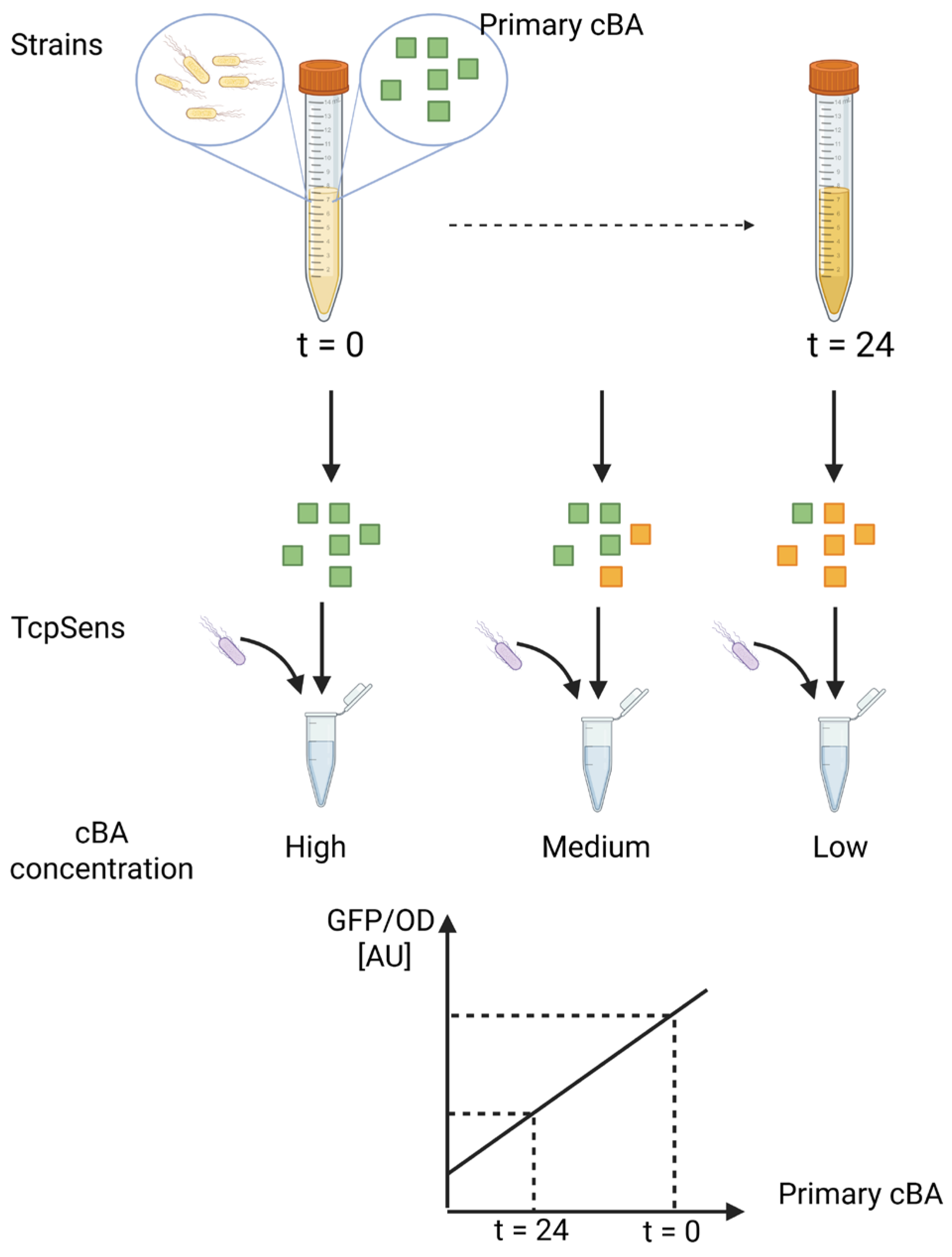 Biosensors 15 00716 g001 Biosensors 15 00716 g001