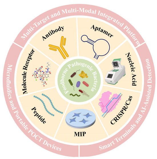 Recognition Element-Based Strategies for Rapid Detection of