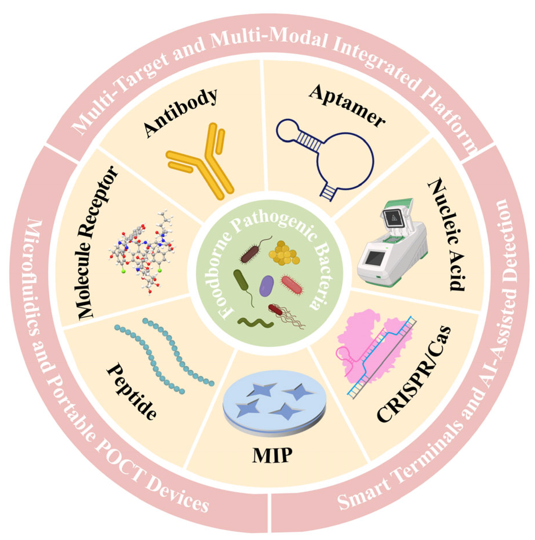 Biosensors 15 00717 g001