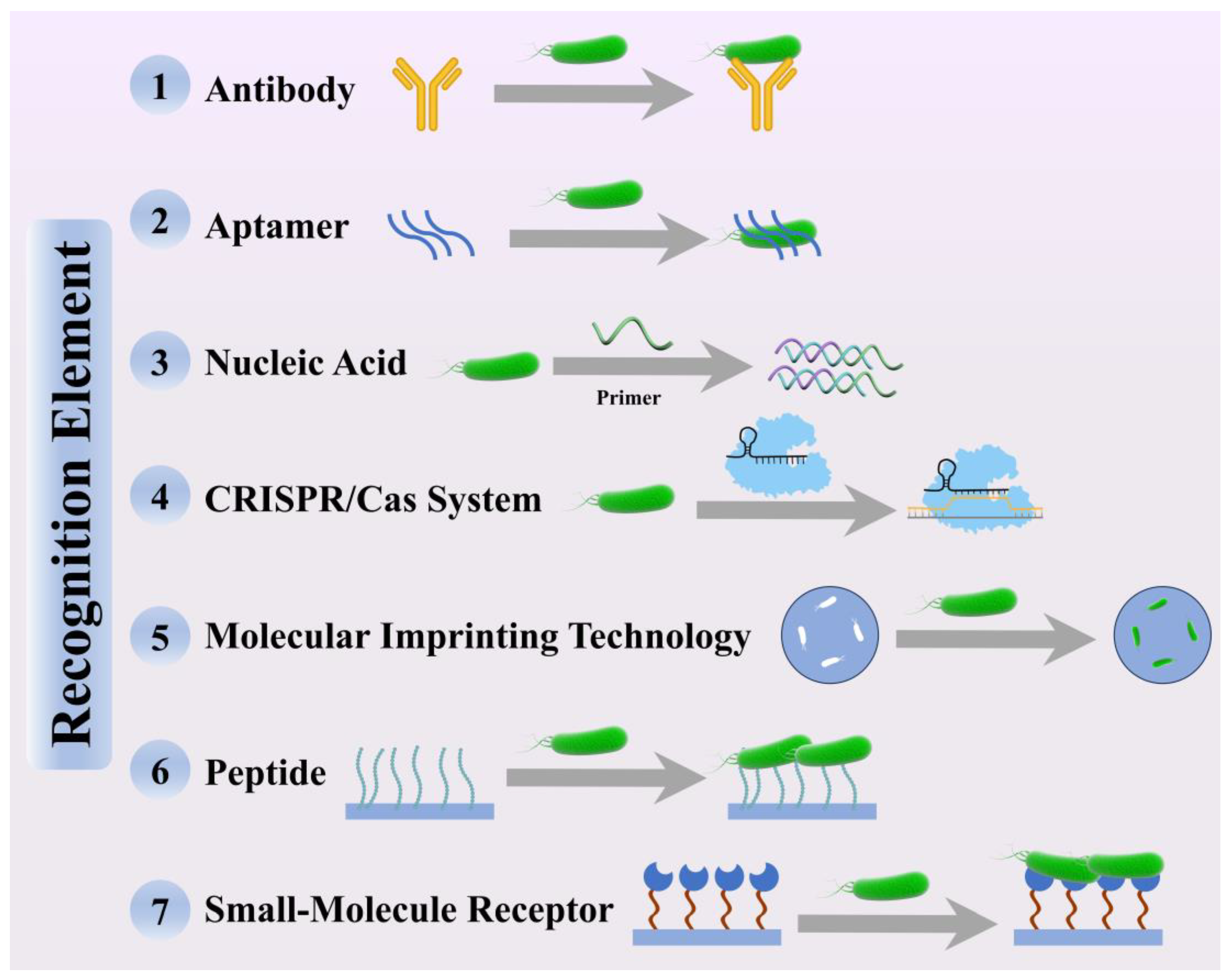 Biosensors 15 00717 g002