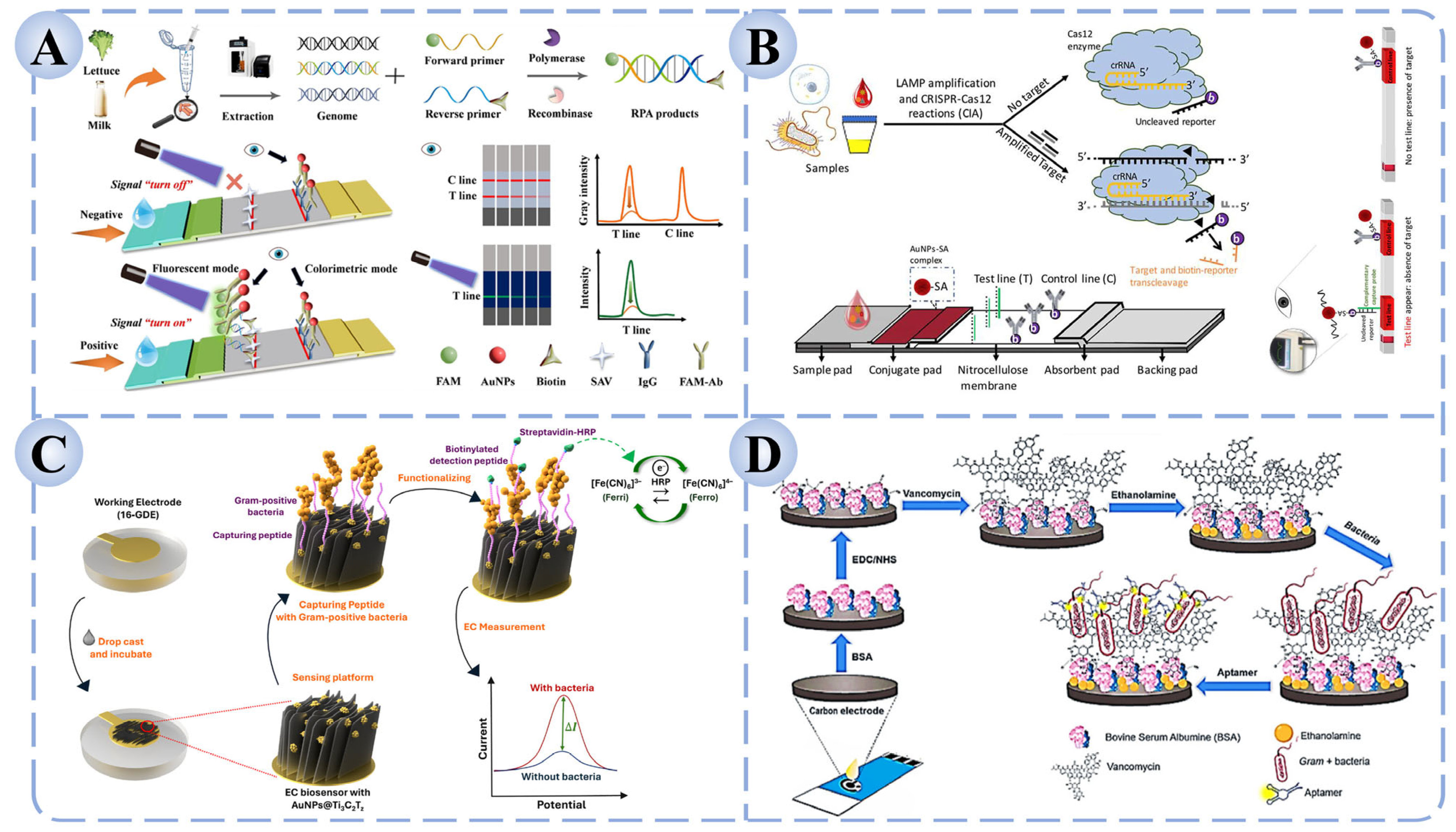 Biosensors 15 00717 g003