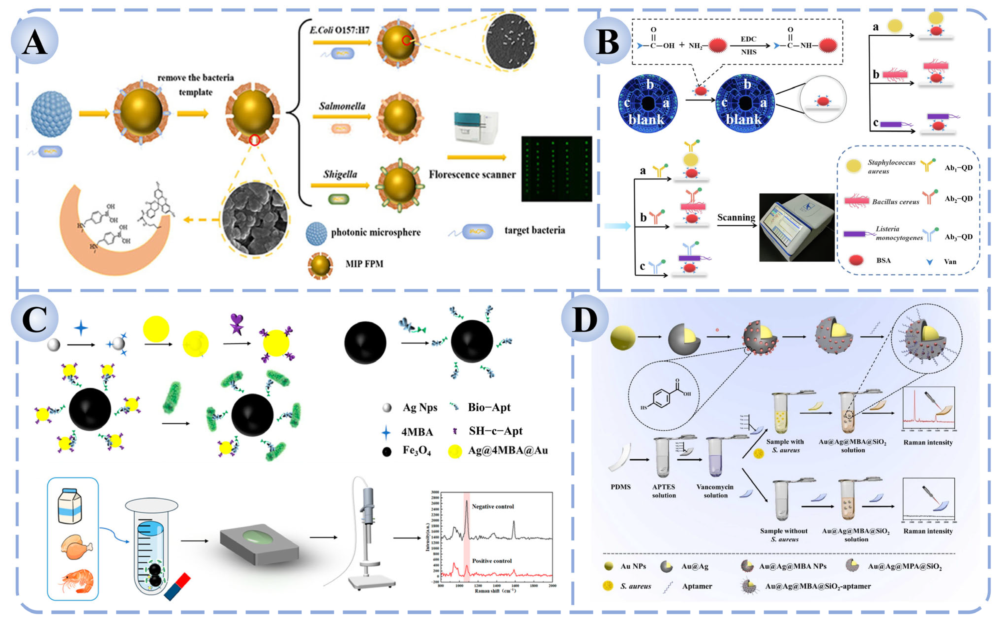 Biosensors 15 00717 g004