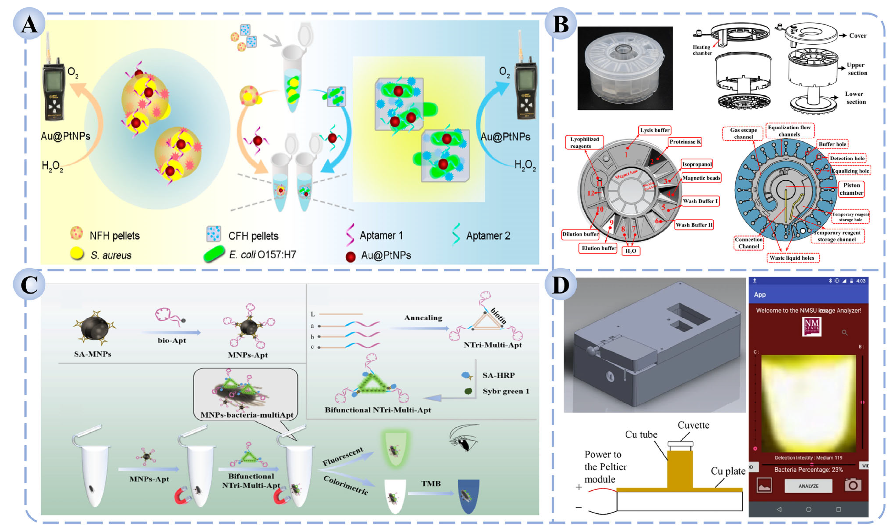 Biosensors 15 00717 g005