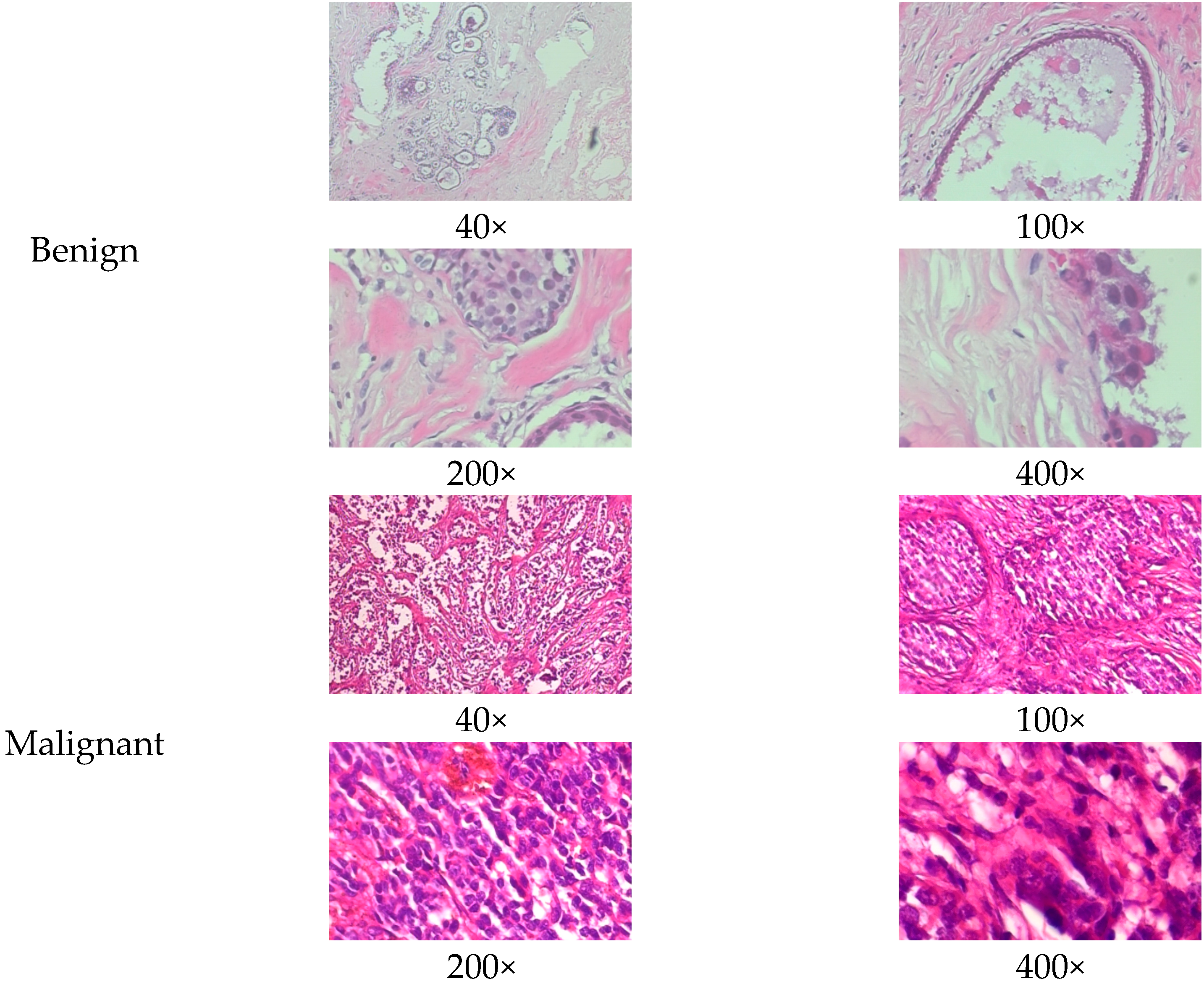 Biosensors 15 00718 g001 Biosensors 15 00718 g001