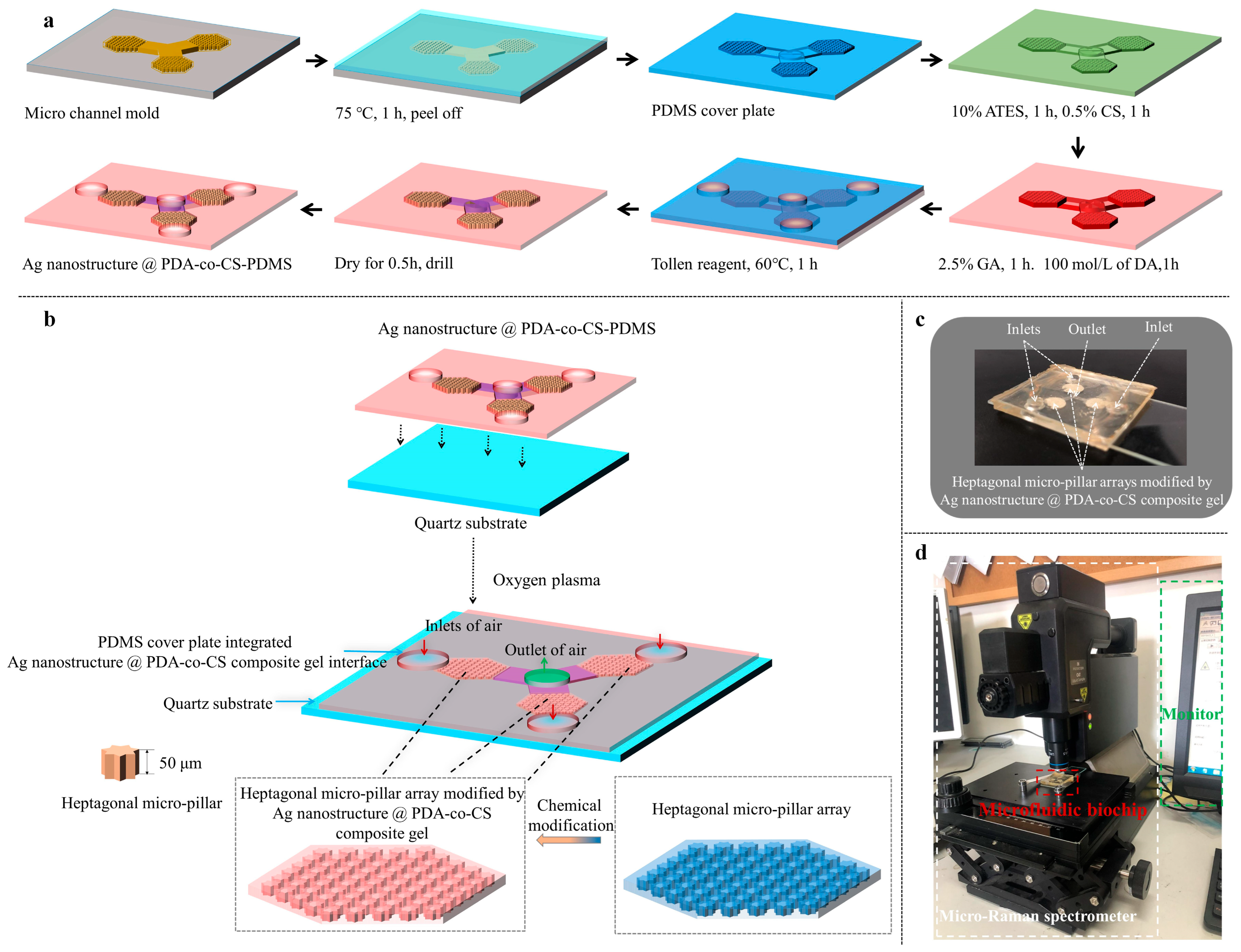 Biosensors 15 00720 g001 Biosensors 15 00720 g001