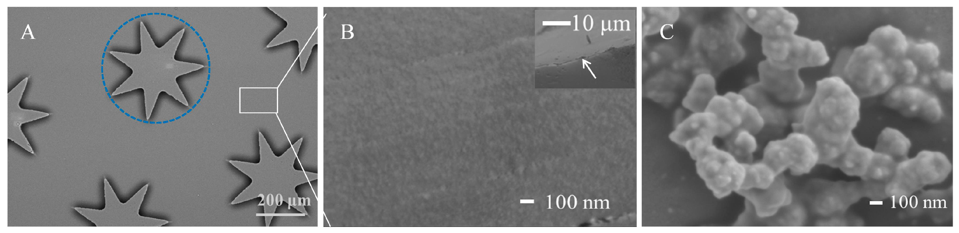 Biosensors 15 00720 g002 Biosensors 15 00720 g002