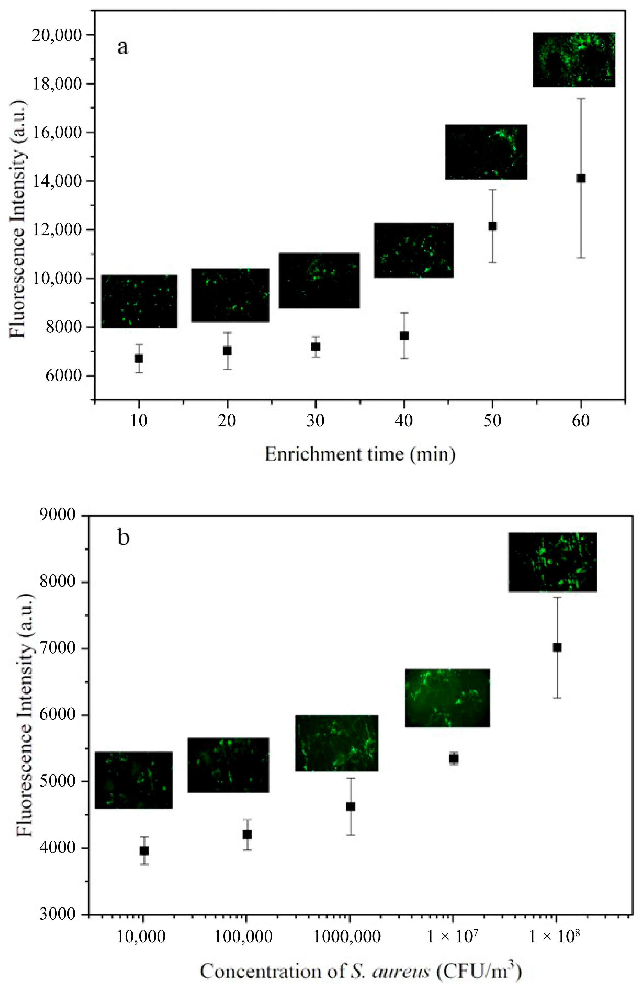 Biosensors 15 00720 g003 Biosensors 15 00720 g003
