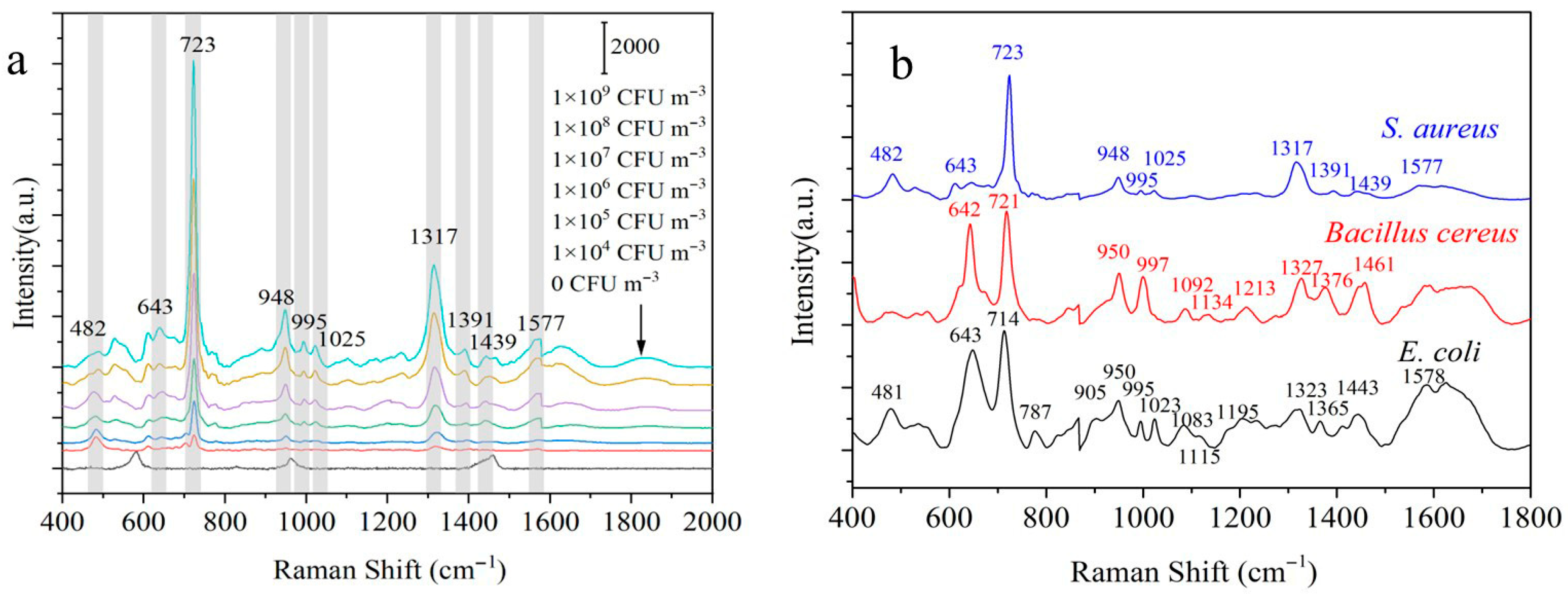 Biosensors 15 00720 g005 Biosensors 15 00720 g005
