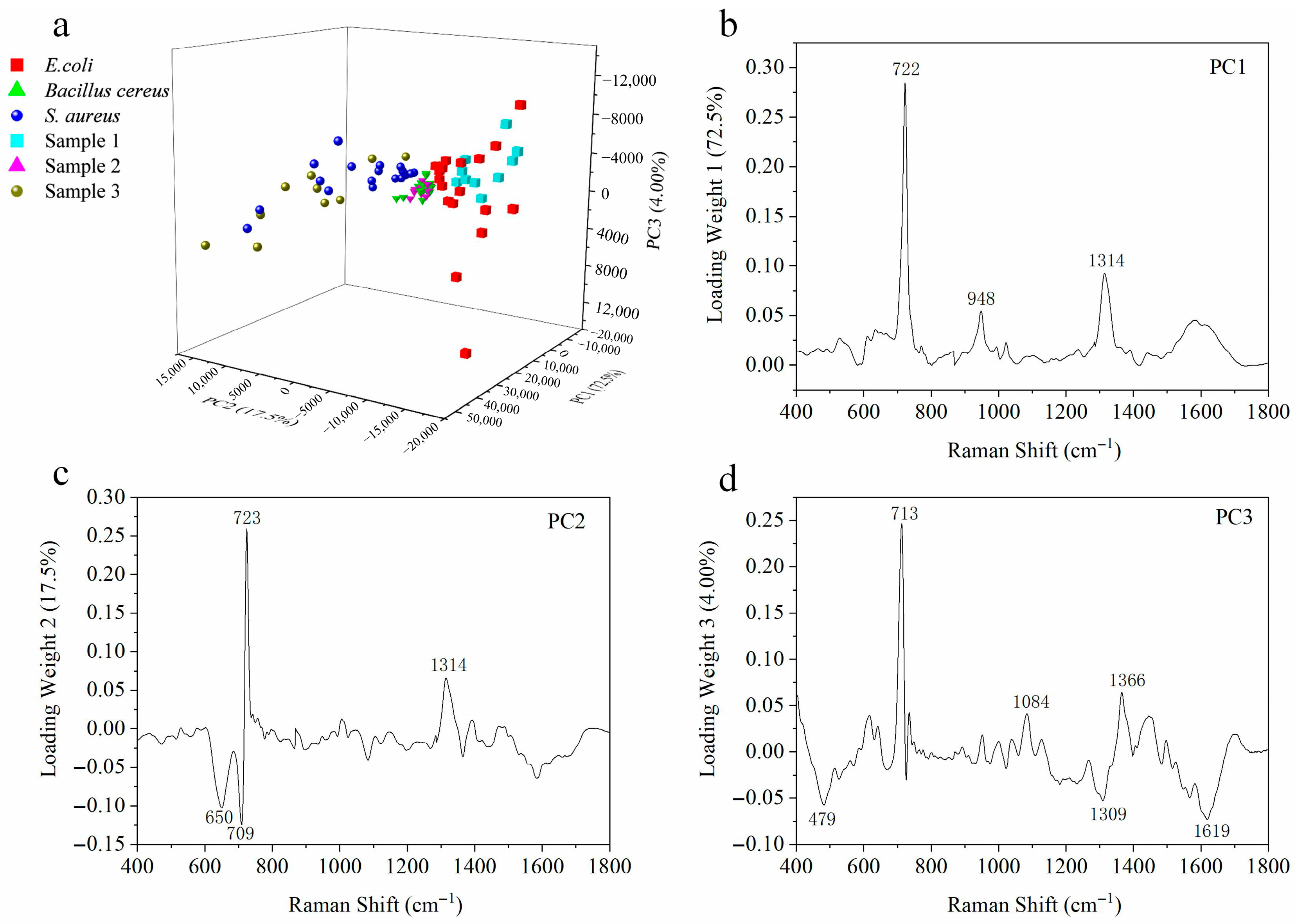 Biosensors 15 00720 g006 Biosensors 15 00720 g006