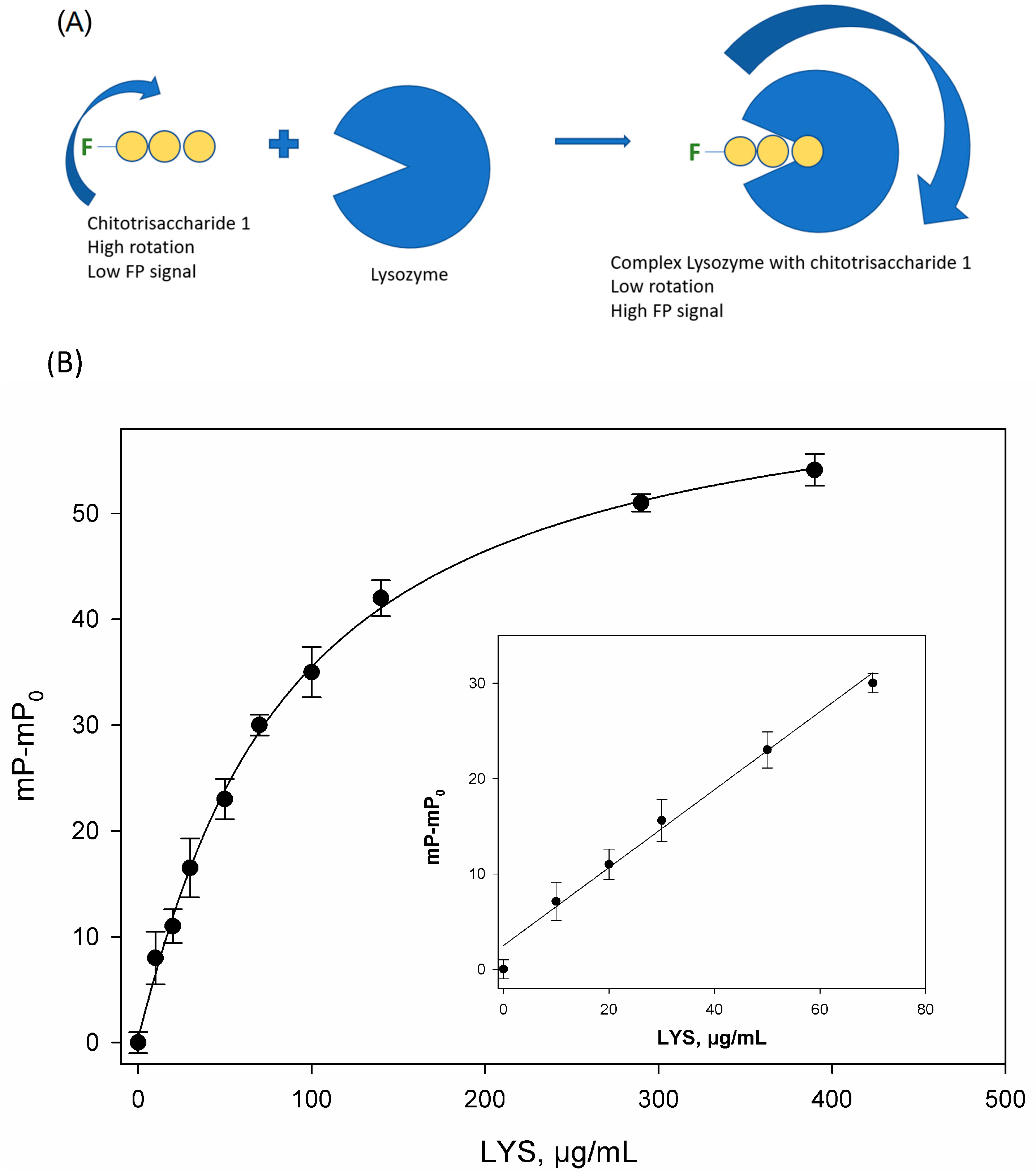 Biosensors 15 00724 g003 Biosensors 15 00724 g003