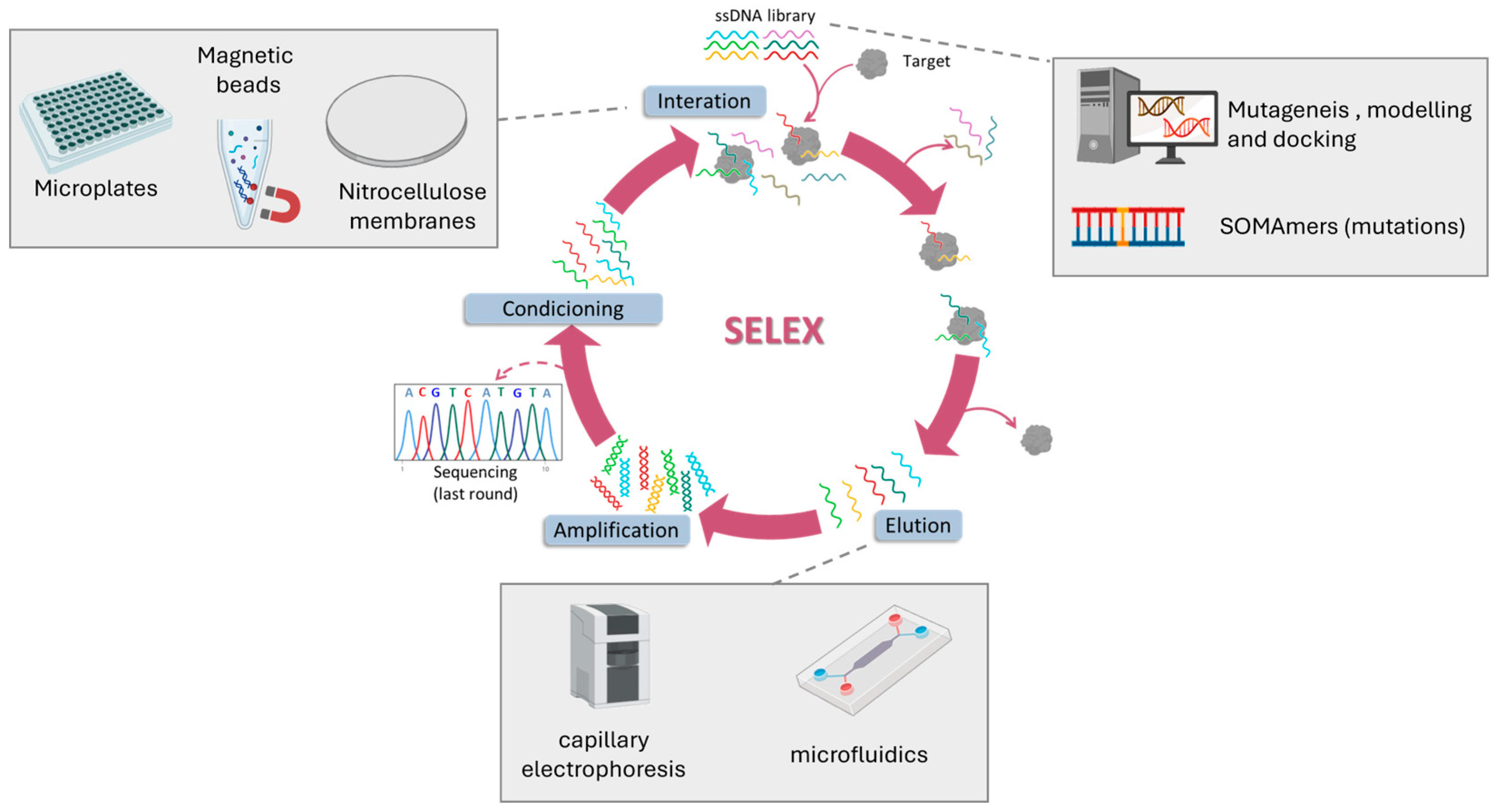 Biosensors 15 00726 g002 Biosensors 15 00726 g002