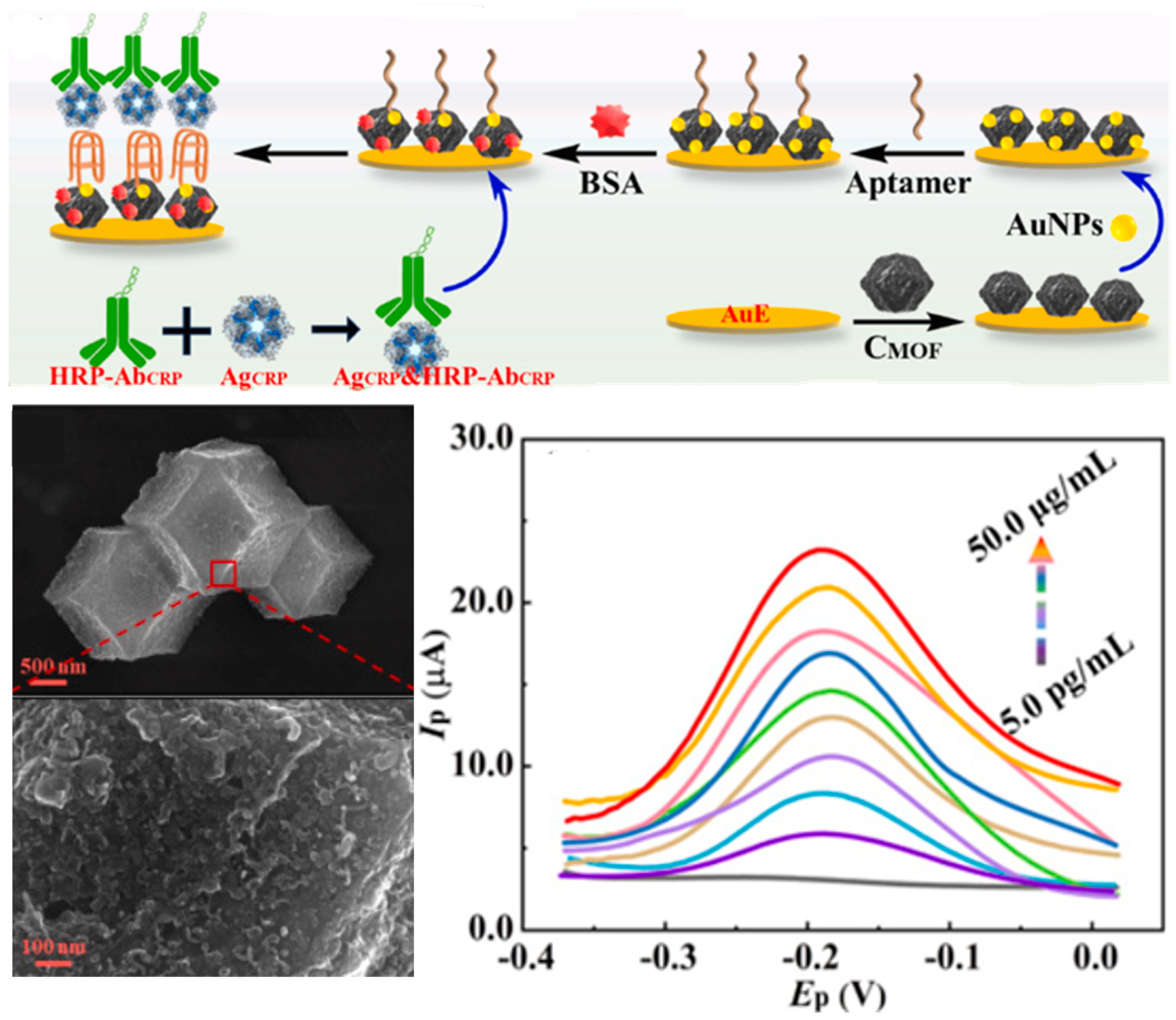 Biosensors 15 00726 g006 Biosensors 15 00726 g006