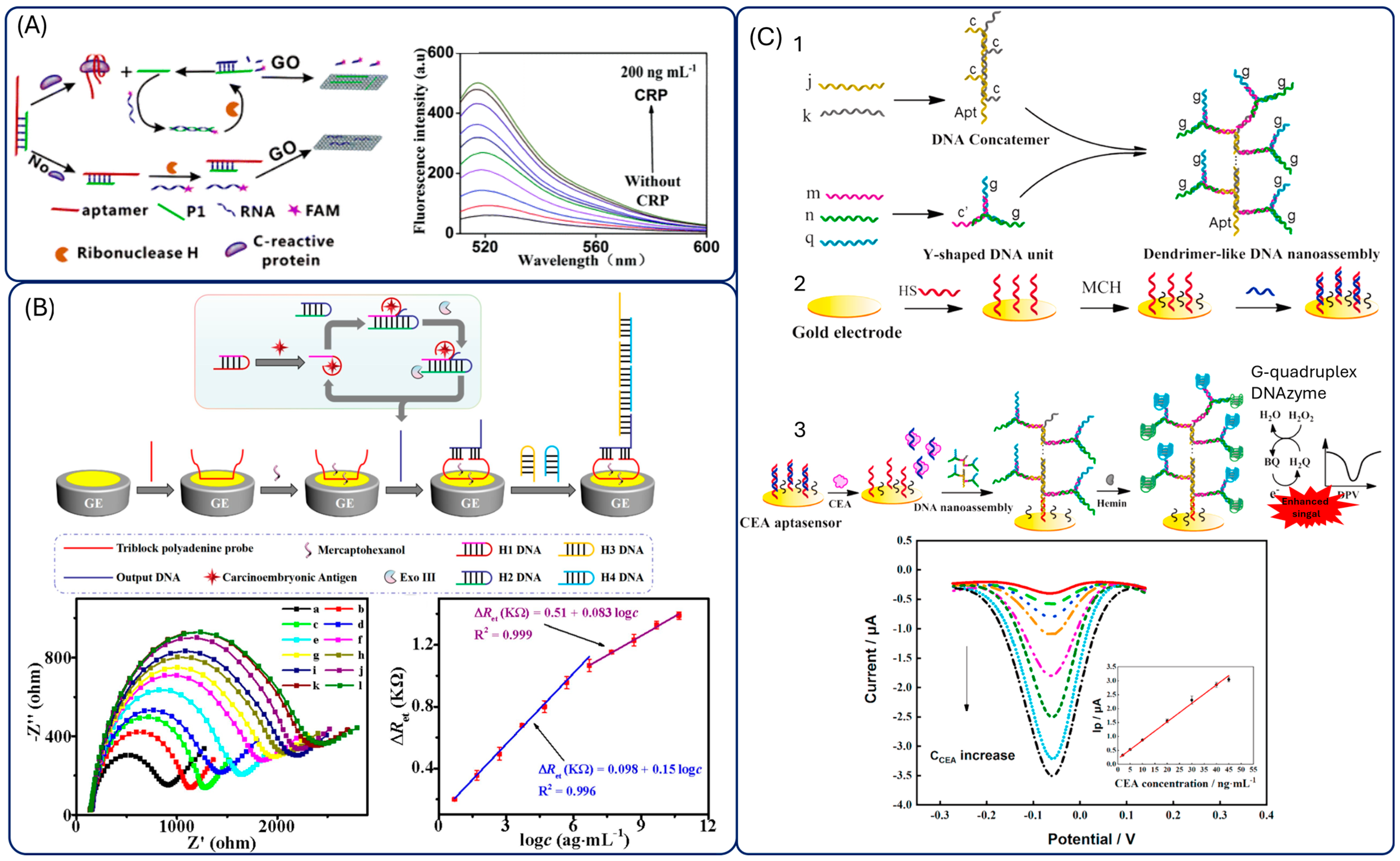 Biosensors 15 00726 g008 Biosensors 15 00726 g008