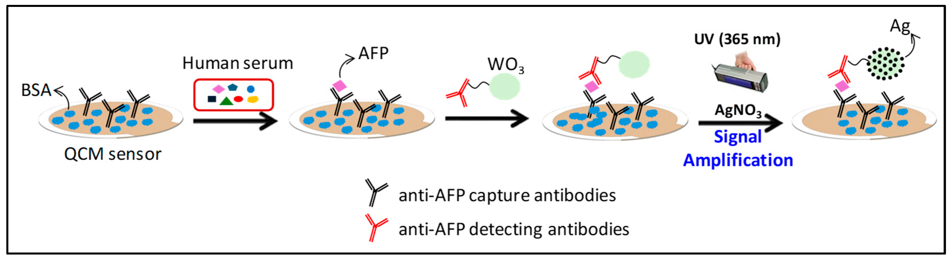 Biosensors 15 00728 sch001 Biosensors 15 00728 sch001