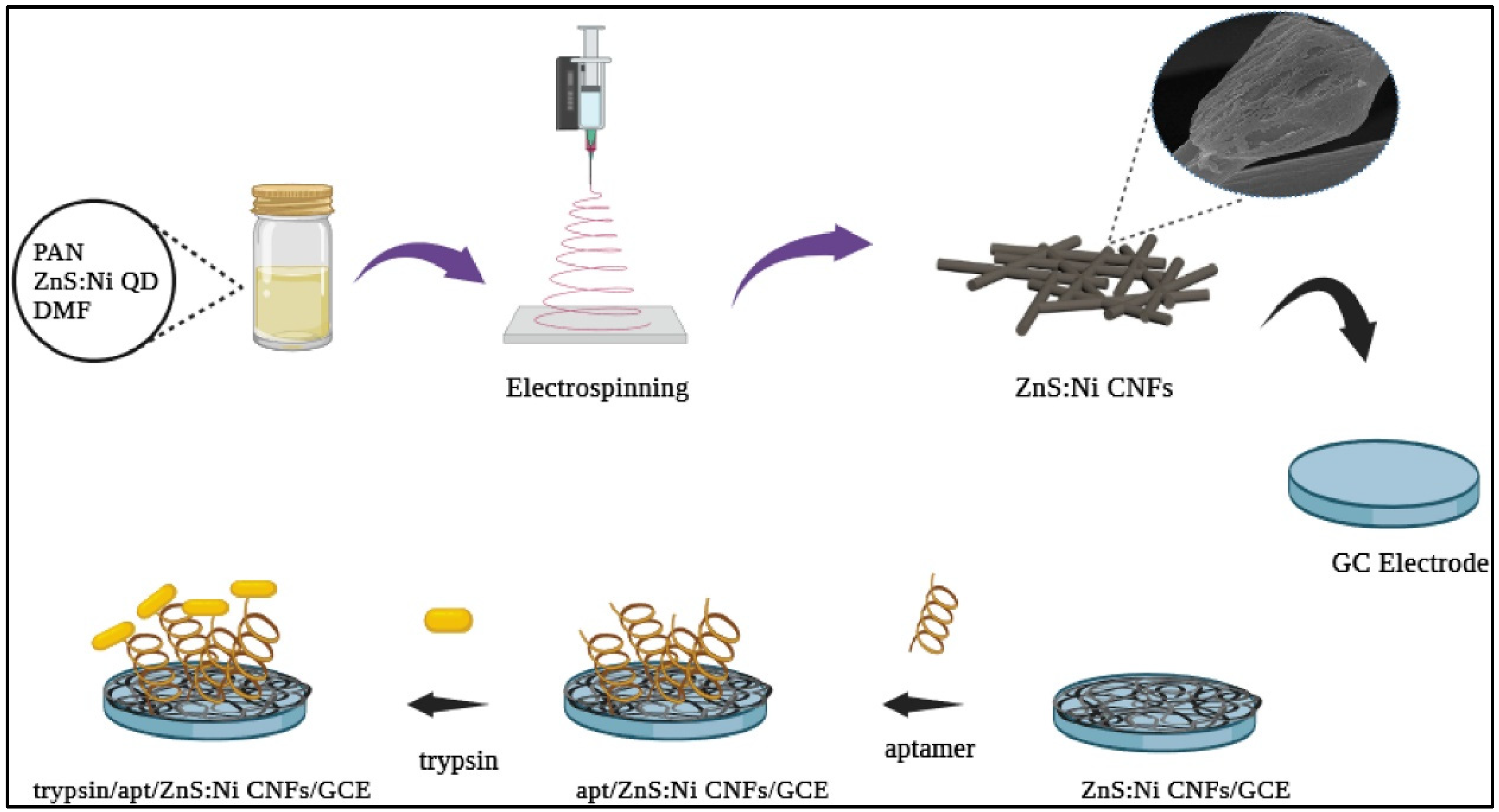 Biosensors 15 00730 g004