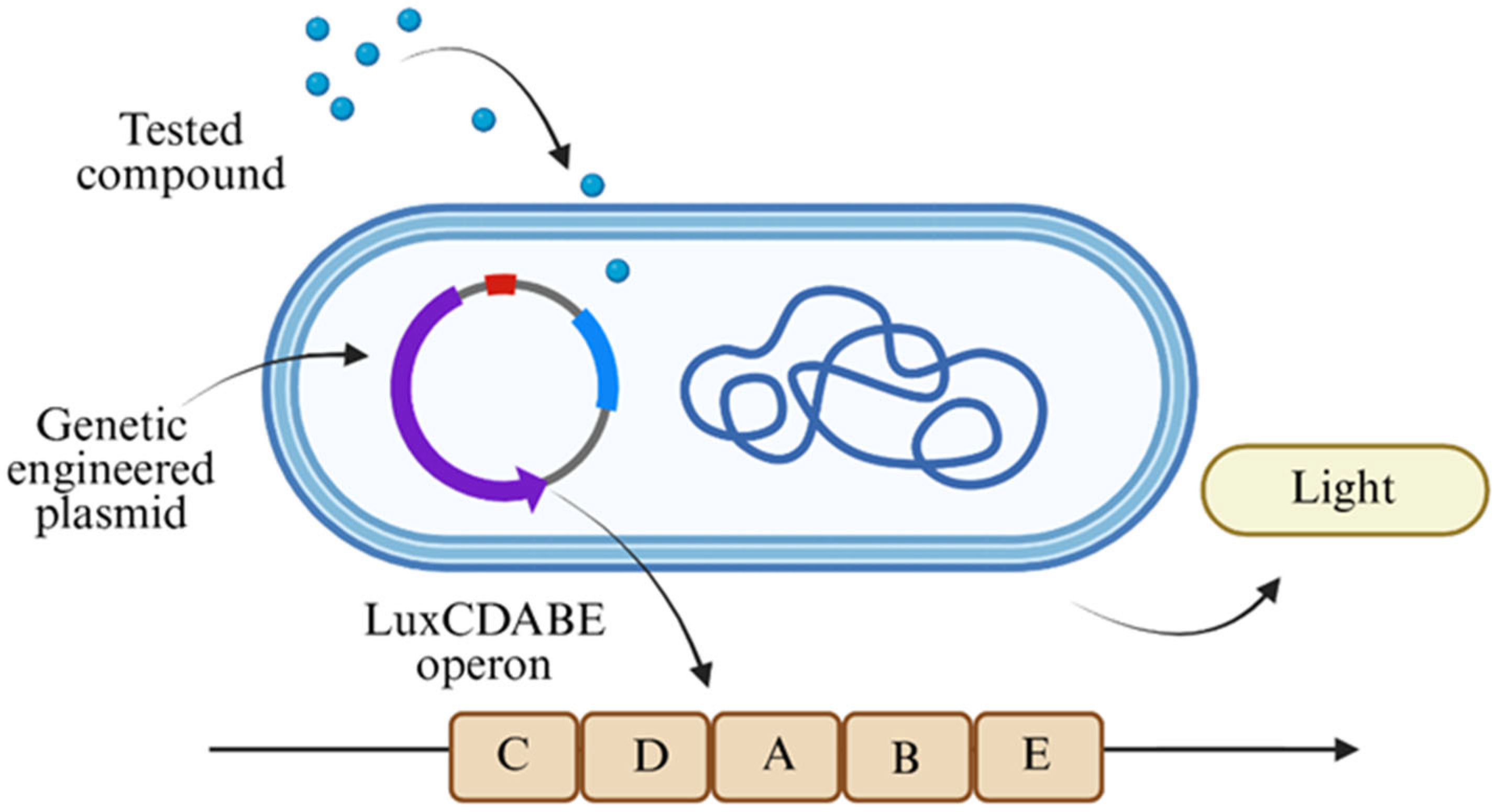 Biosensors 15 00733 g001 Biosensors 15 00733 g001