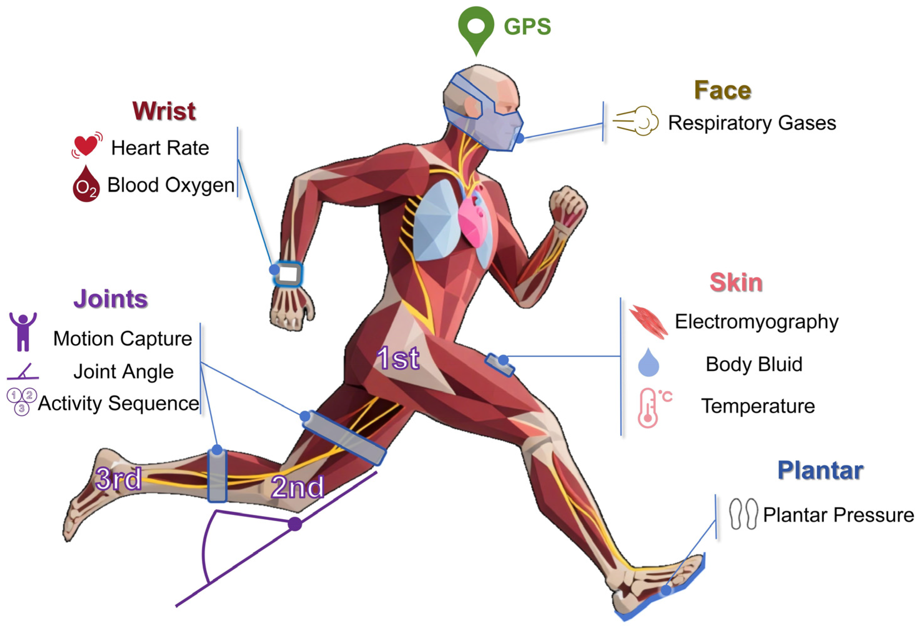 Biosensors 15 00734 g002 Biosensors 15 00734 g002
