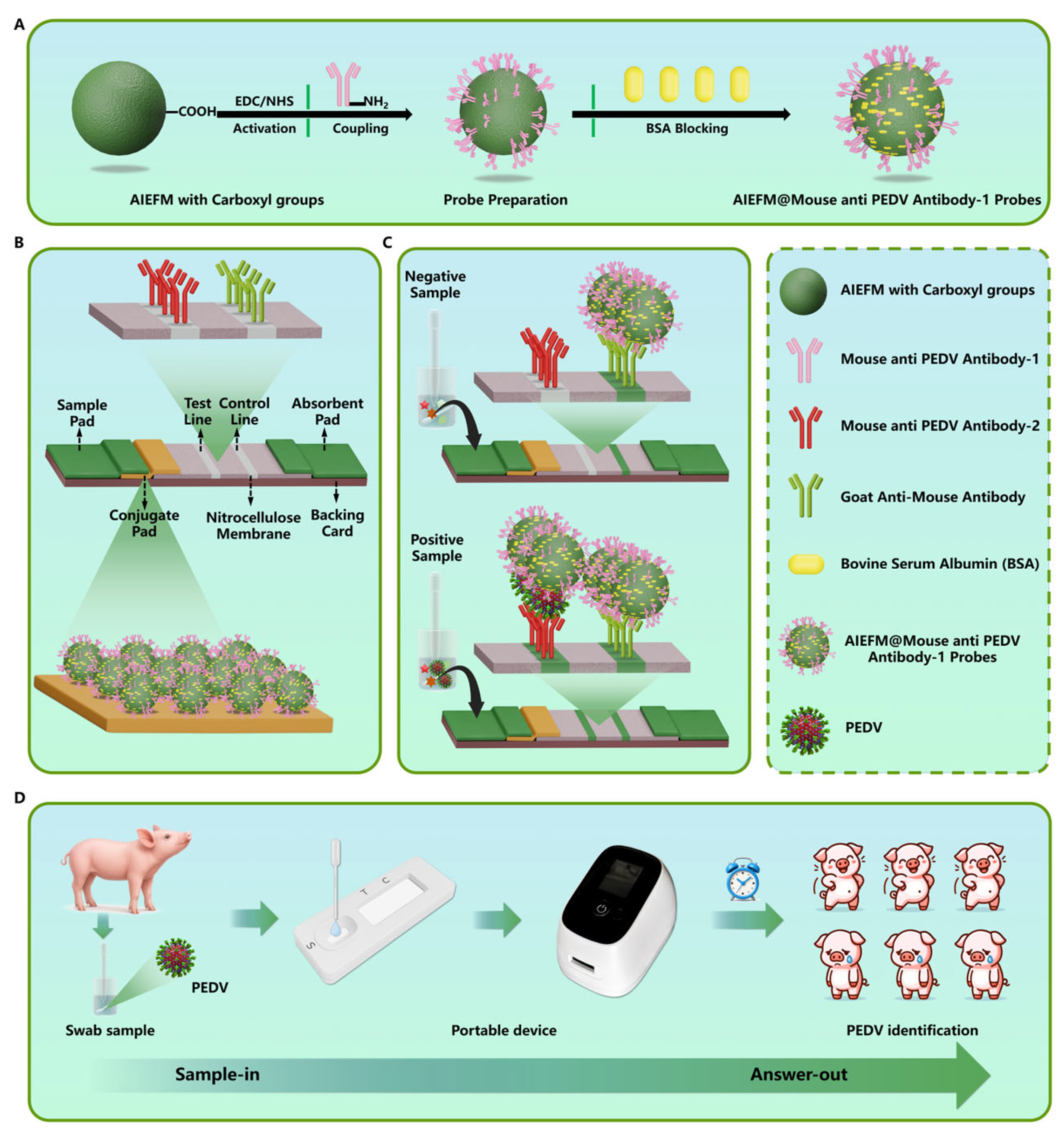 Biosensors 15 00736 g001