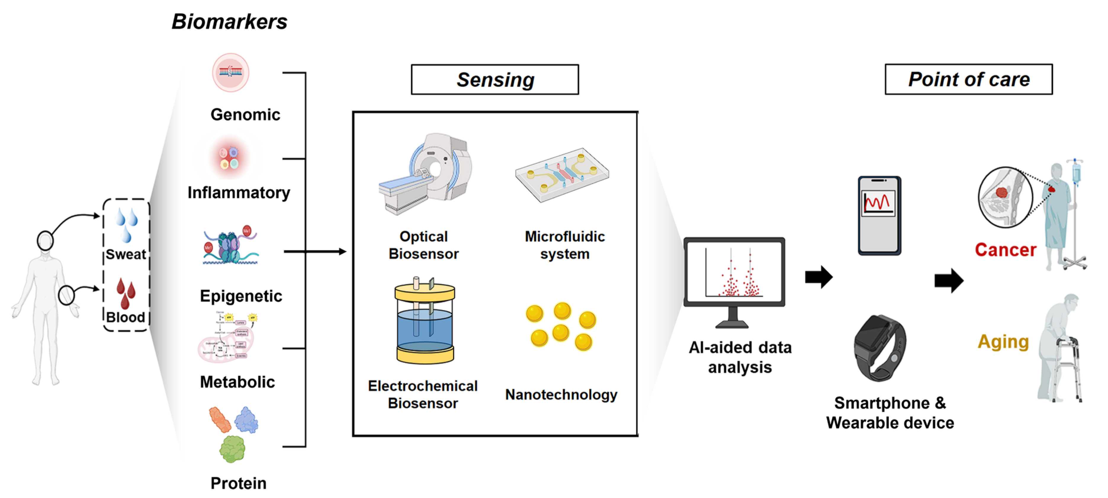 Biosensors 15 00737 g001