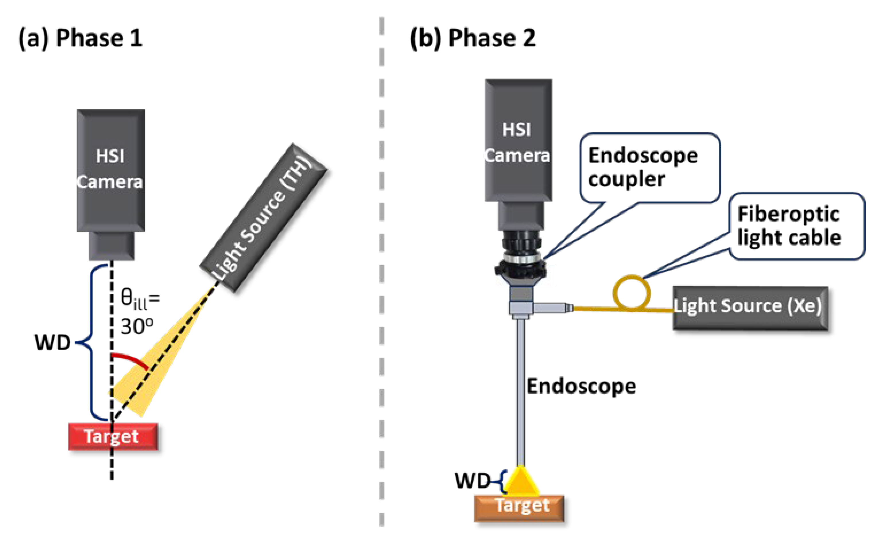 Biosensors 15 00738 g001