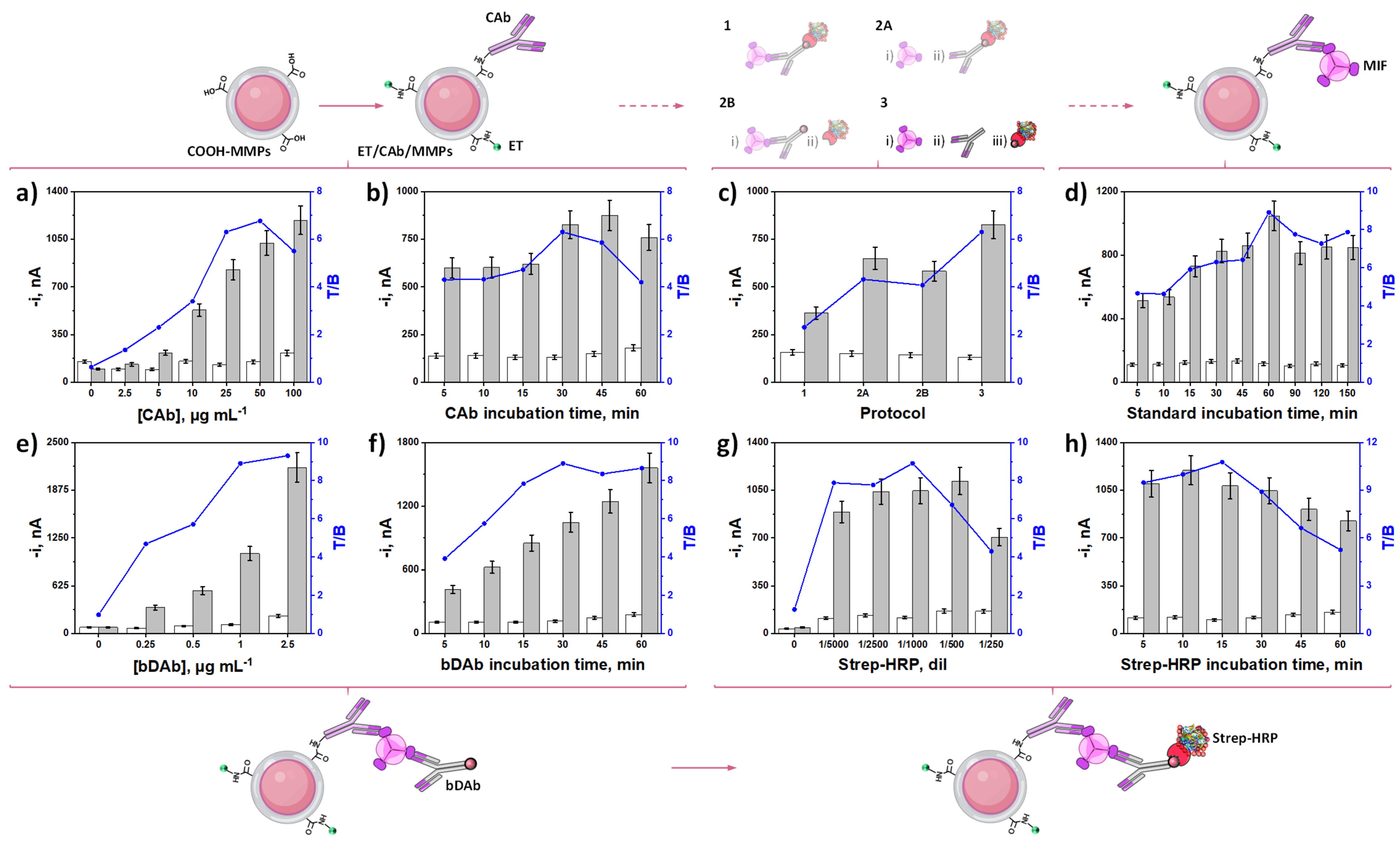 Biosensors 15 00739 g003 Biosensors 15 00739 g003