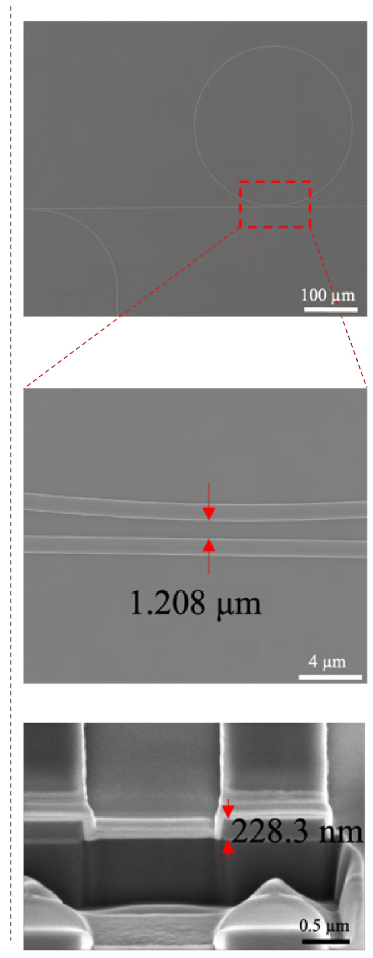Biosensors 15 00741 g0a1