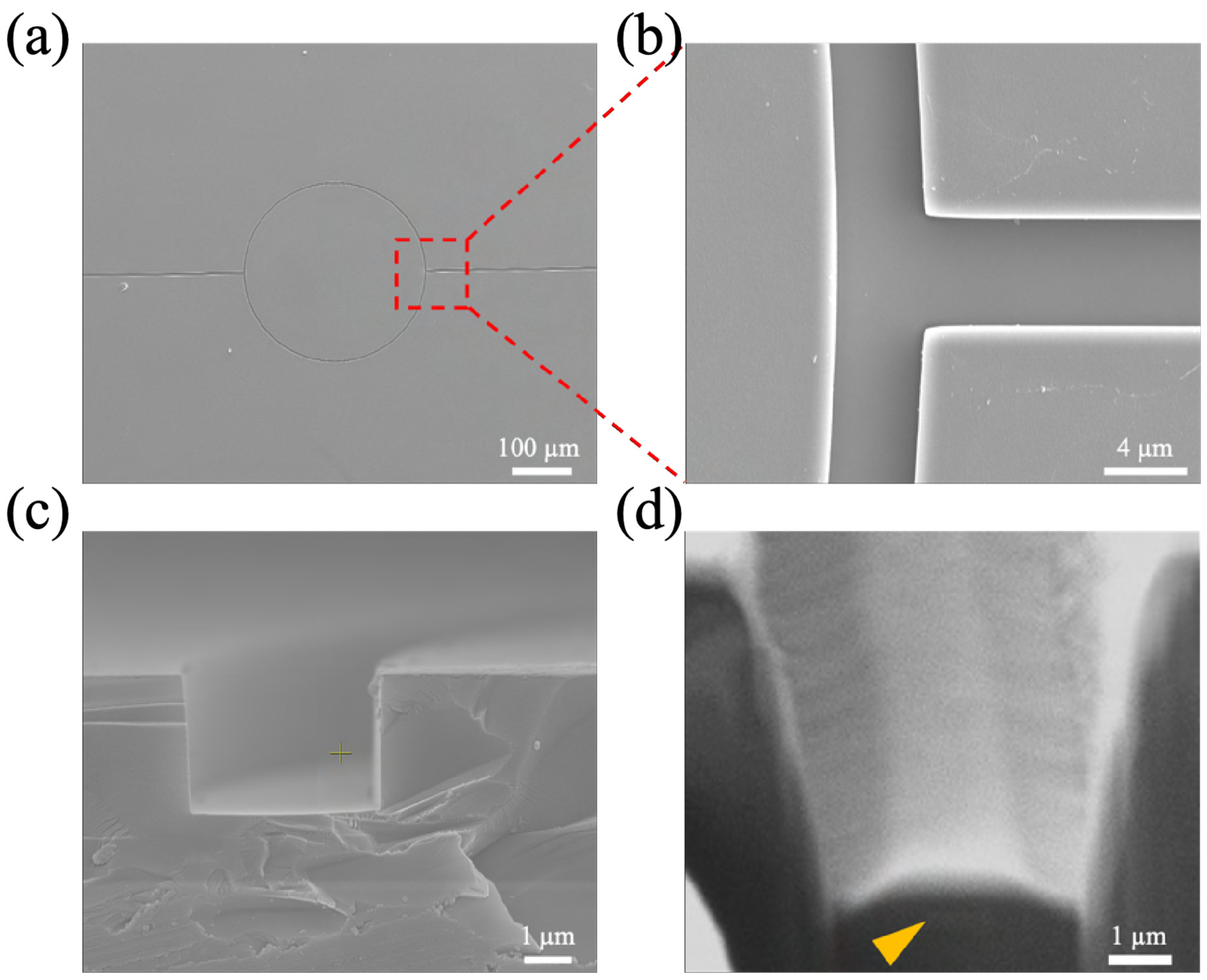 Biosensors 15 00741 g0a2