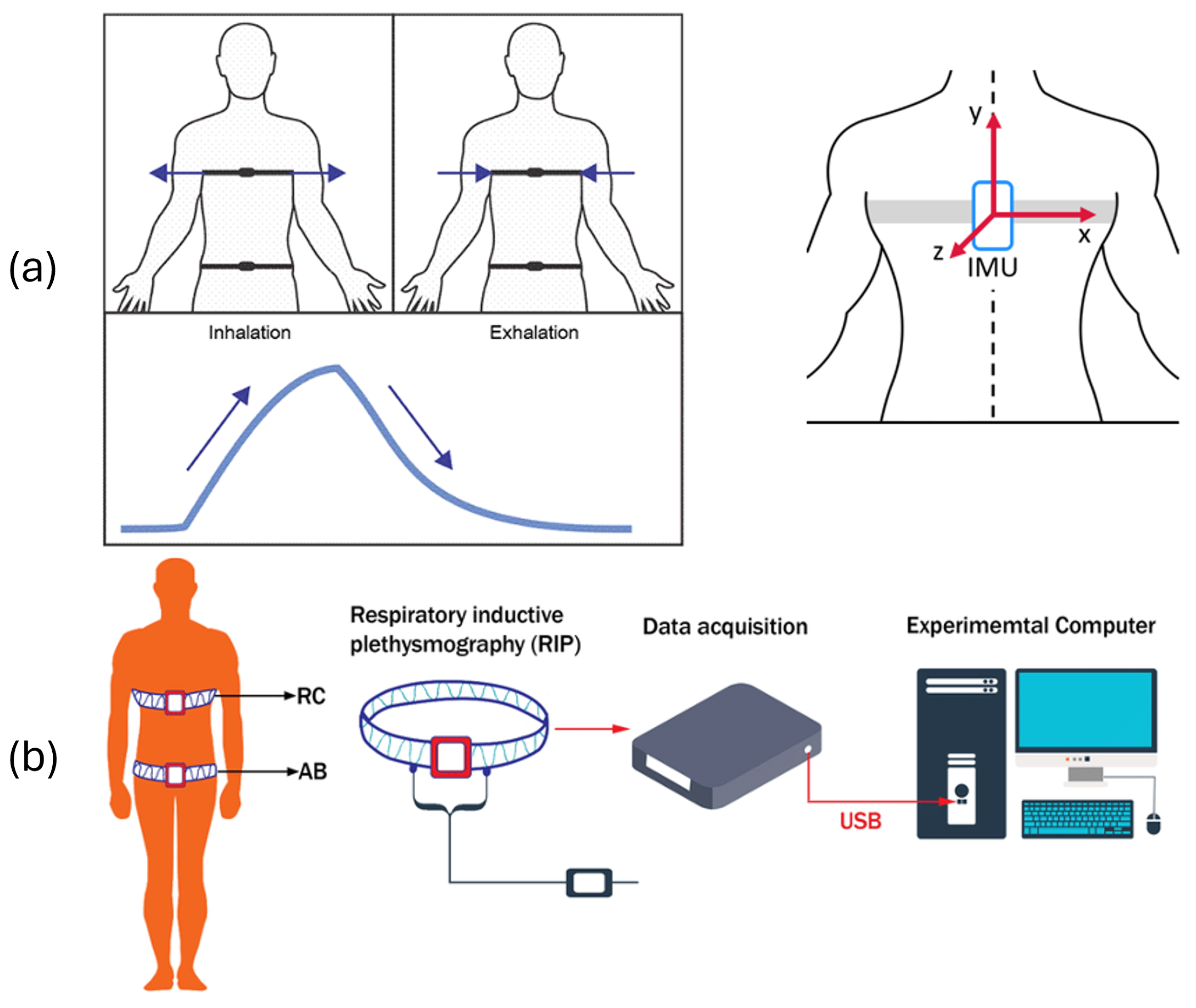 Biosensors 15 00745 g001
