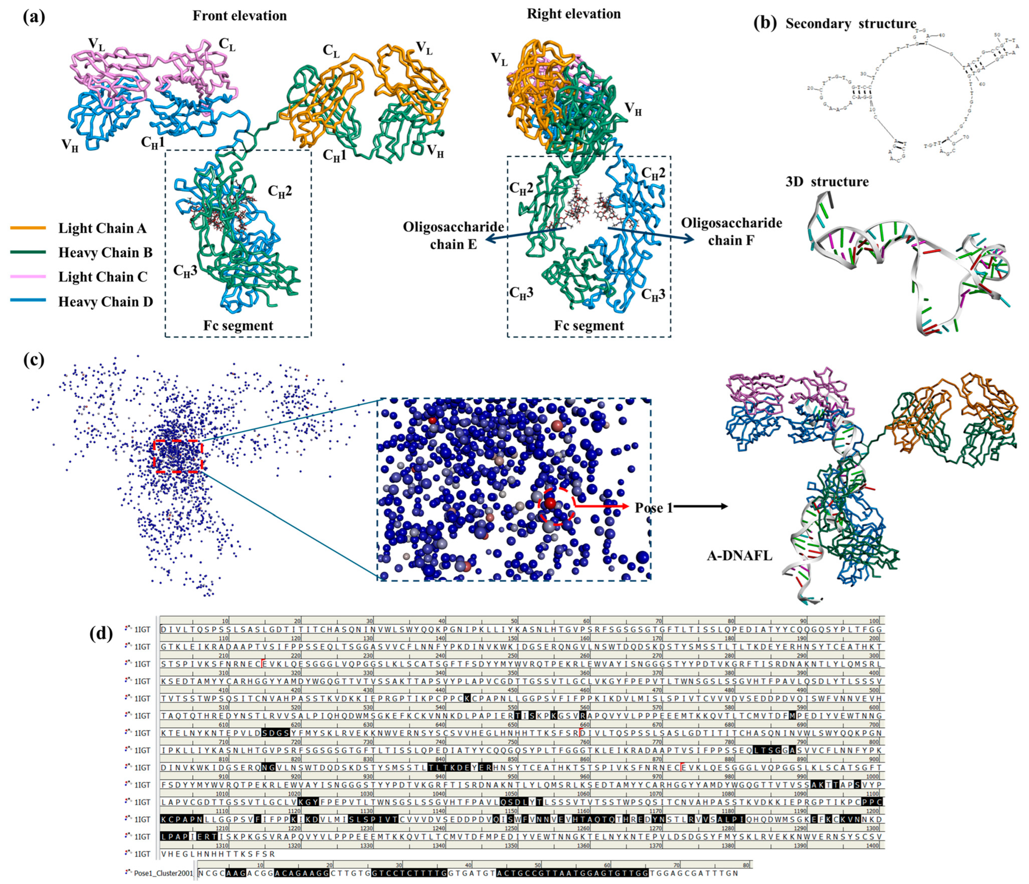 Biosensors 15 00747 g005 Biosensors 15 00747 g005