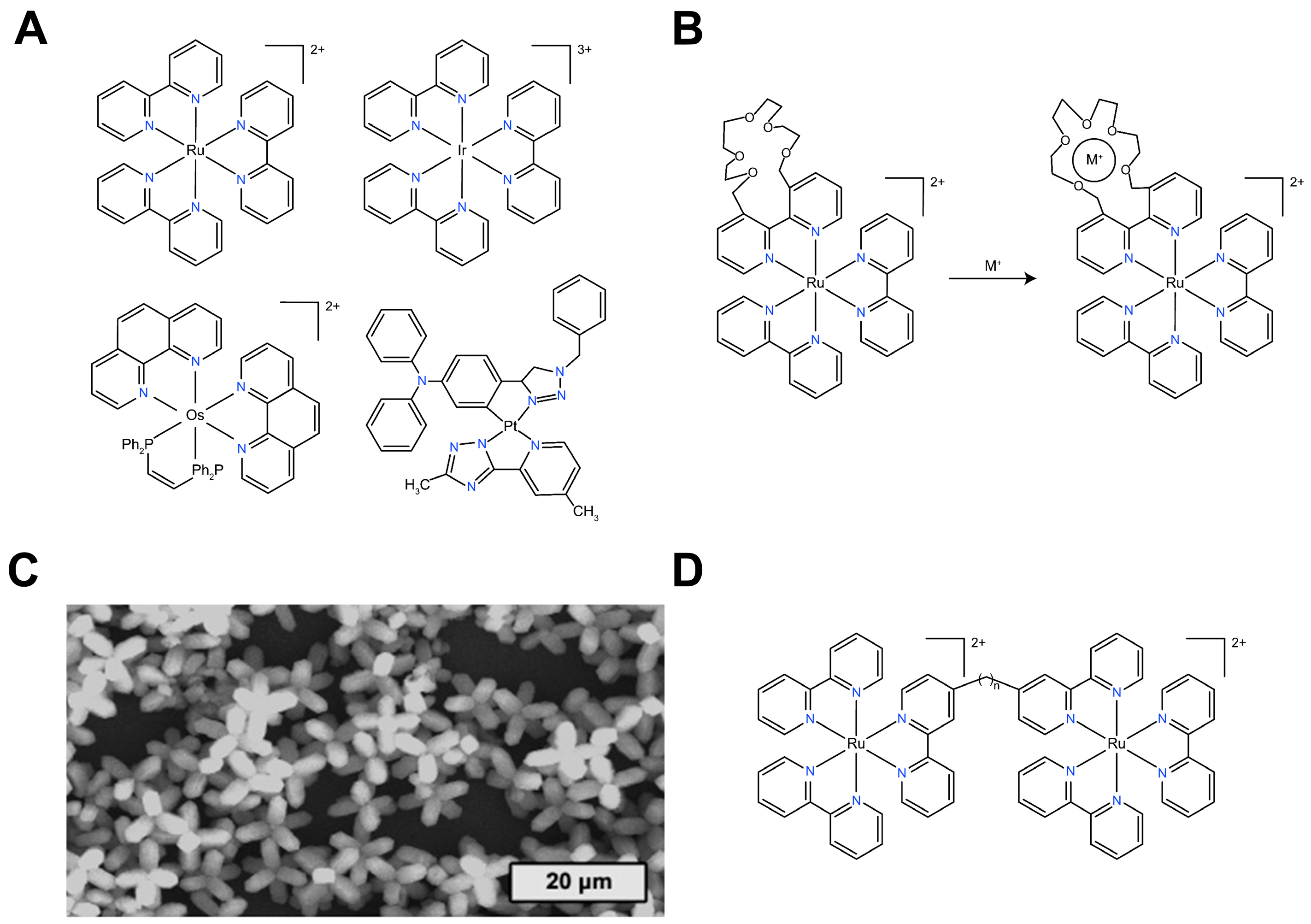 Biosensors 15 00749 g001 Biosensors 15 00749 g001