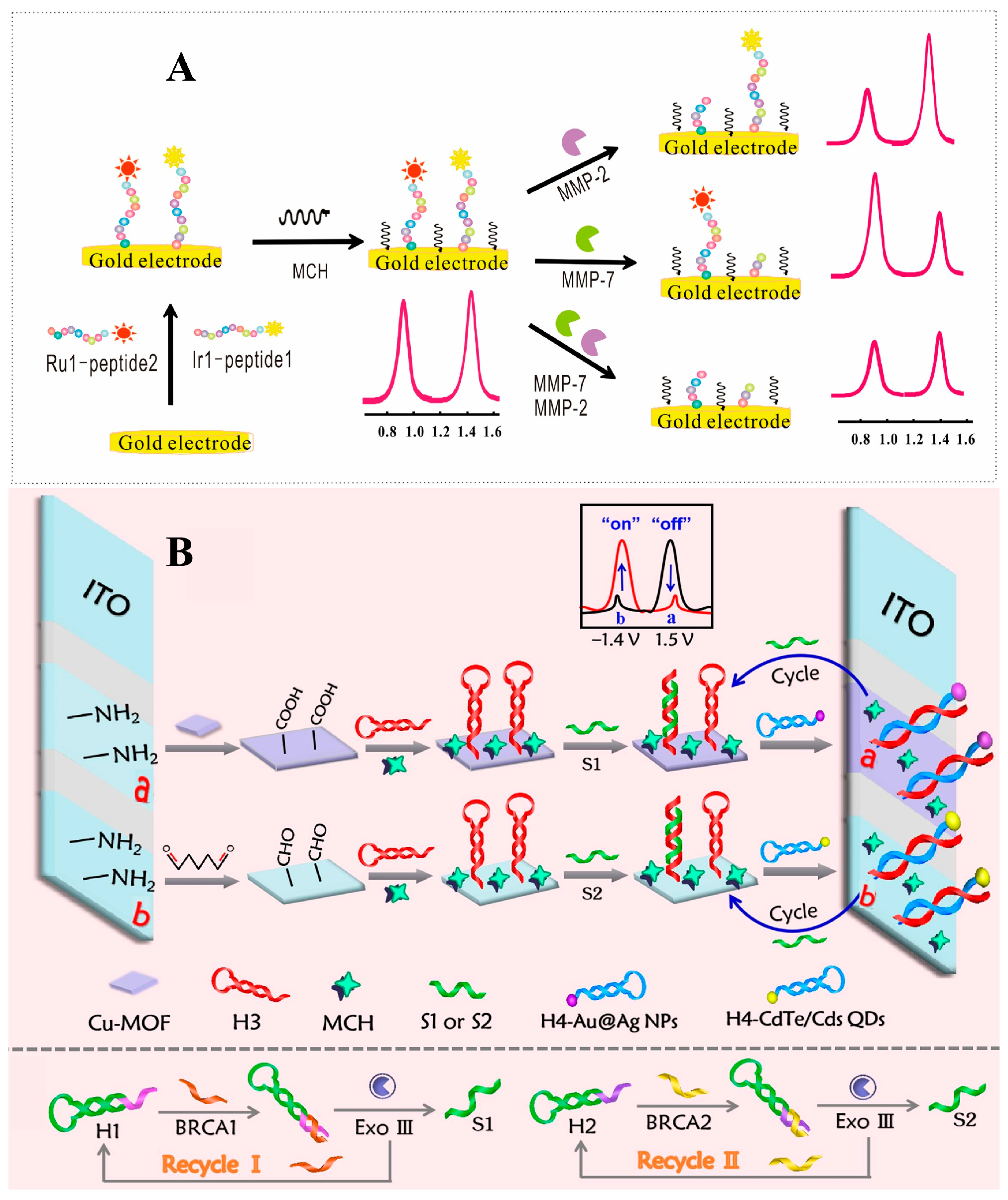 Biosensors 15 00749 g005 Biosensors 15 00749 g005
