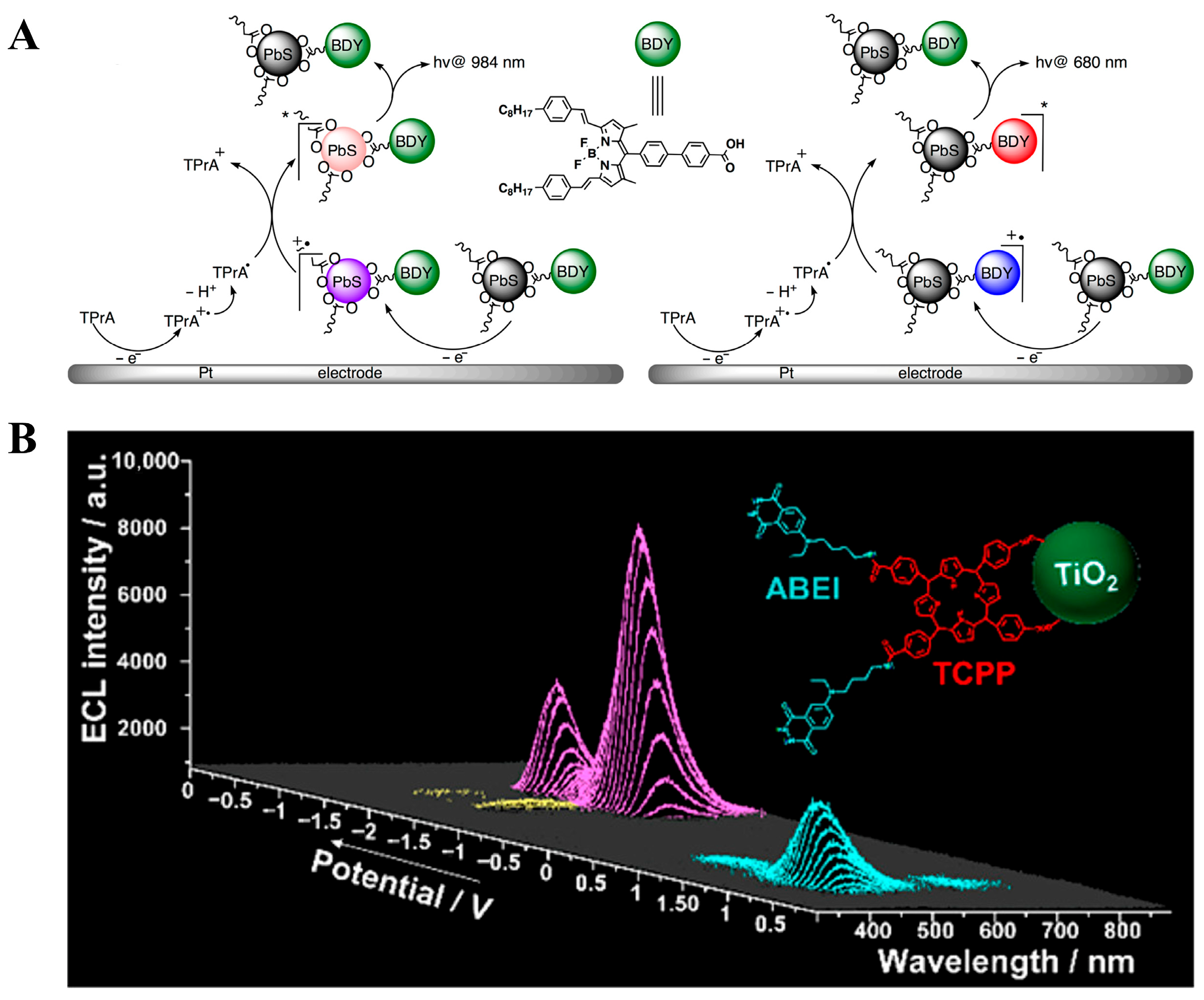 Biosensors 15 00749 g006 Biosensors 15 00749 g006