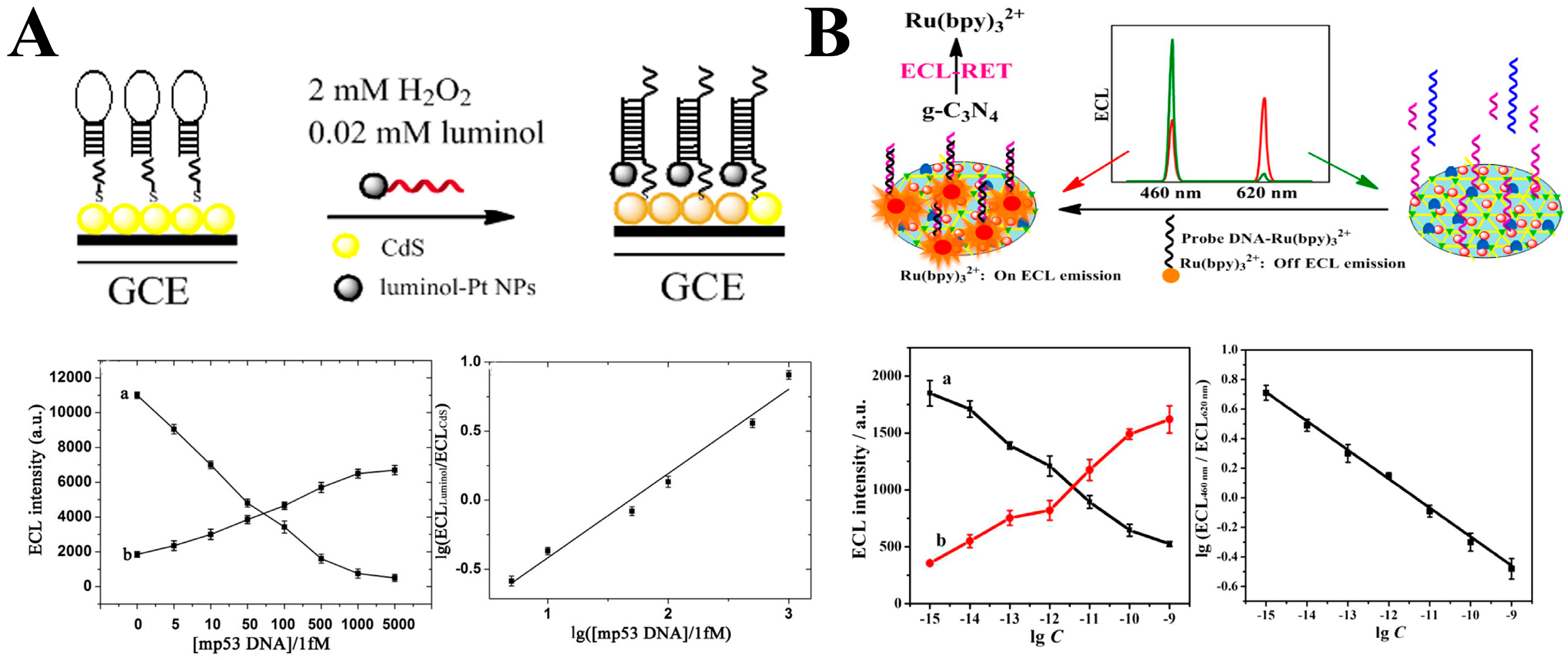 Biosensors 15 00749 g007 Biosensors 15 00749 g007