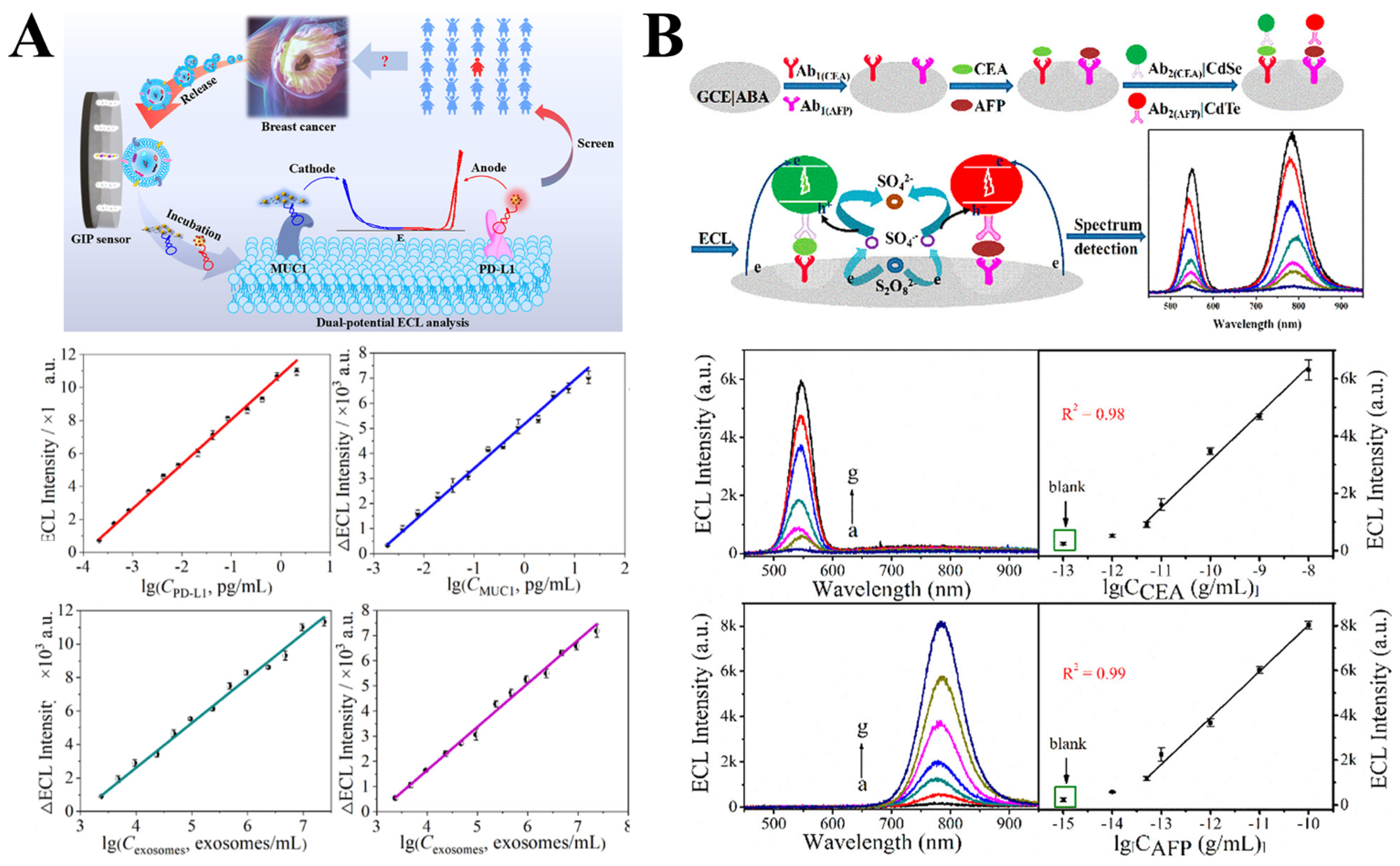 Biosensors 15 00749 g009 Biosensors 15 00749 g009