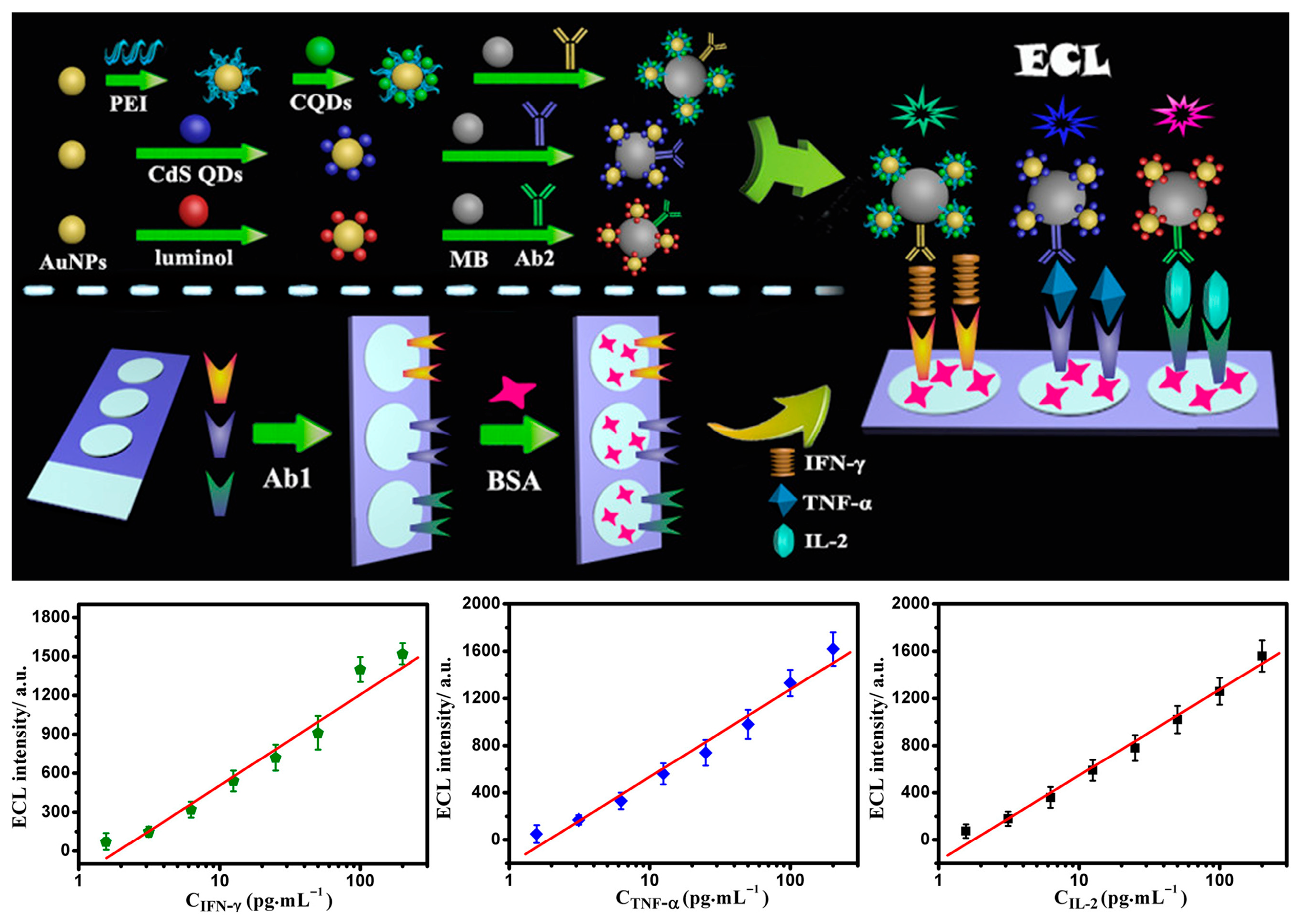 Biosensors 15 00749 g010 Biosensors 15 00749 g010
