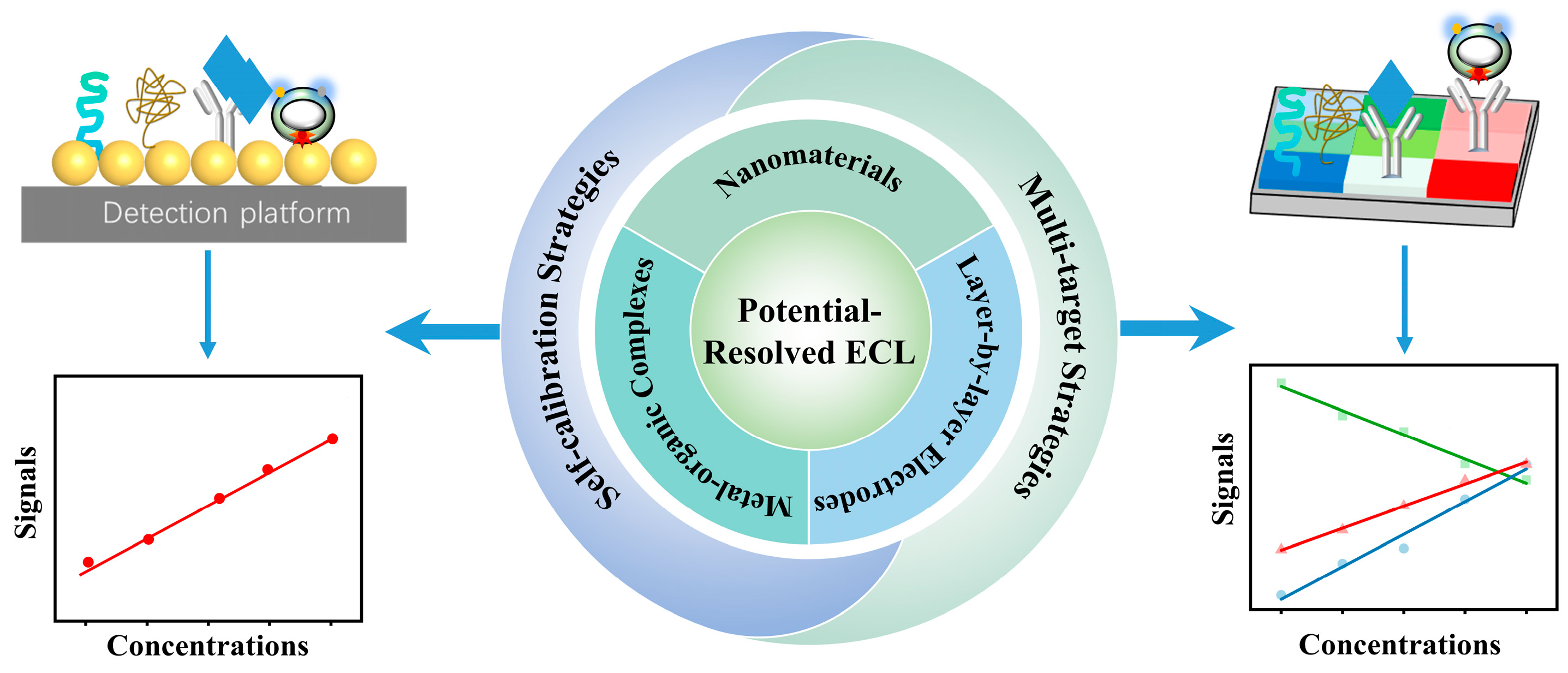 Biosensors 15 00749 sch001 Biosensors 15 00749 sch001