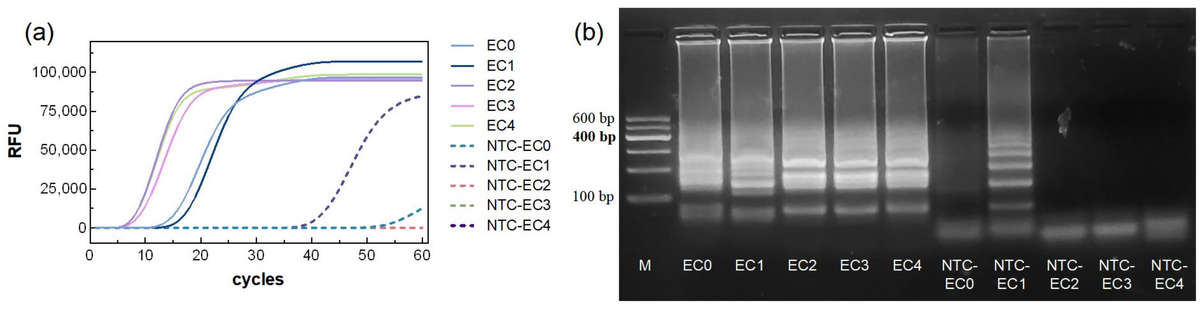 Biosensors 15 00750 g001