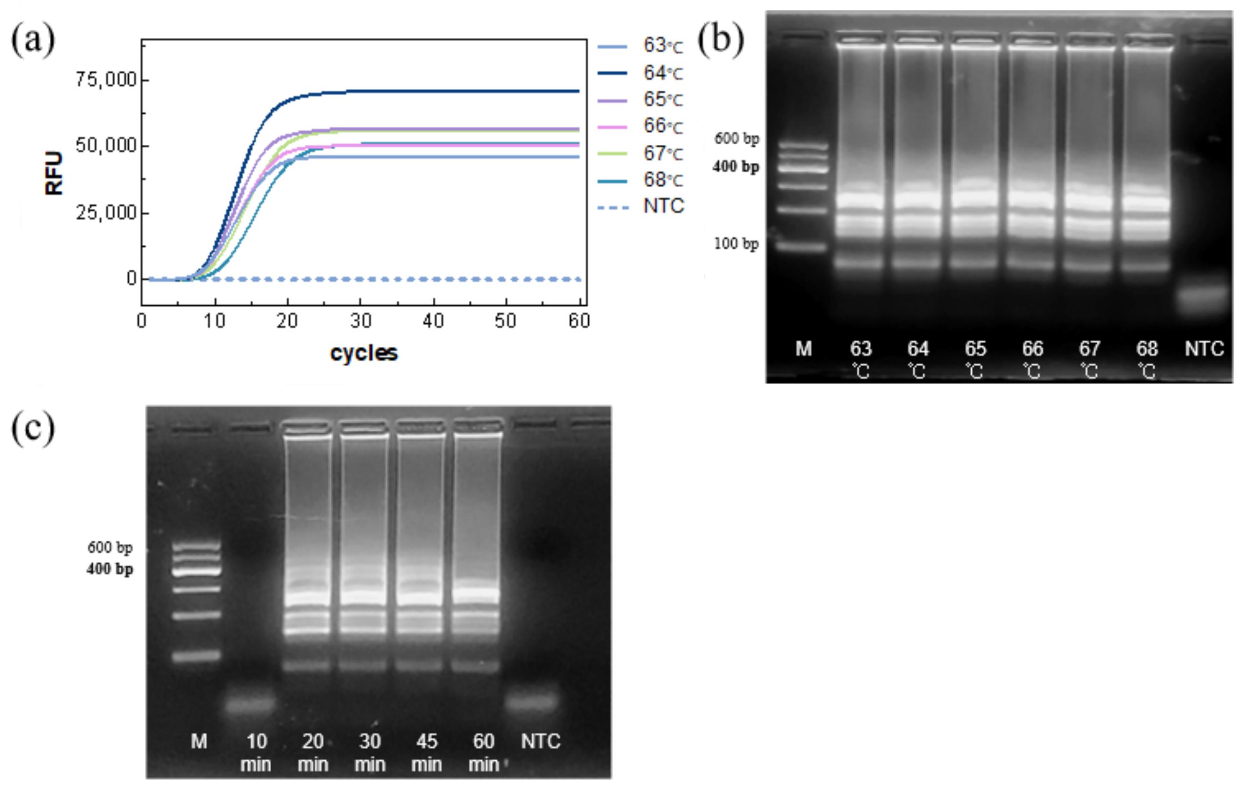 Biosensors 15 00750 g004
