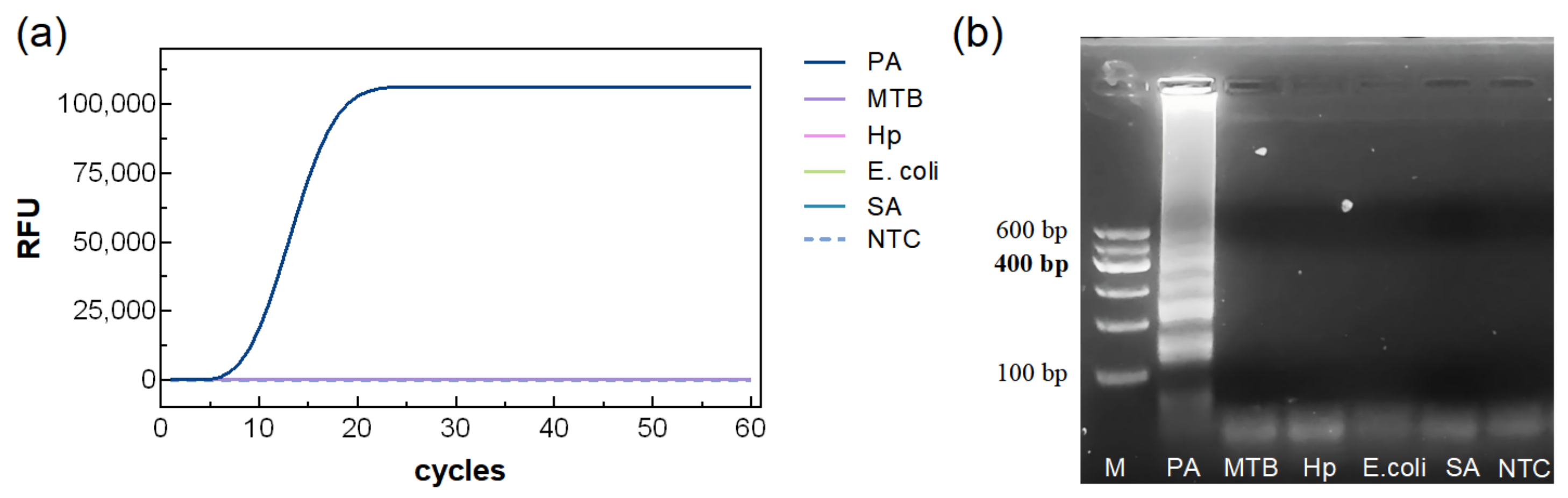 Biosensors 15 00750 g006