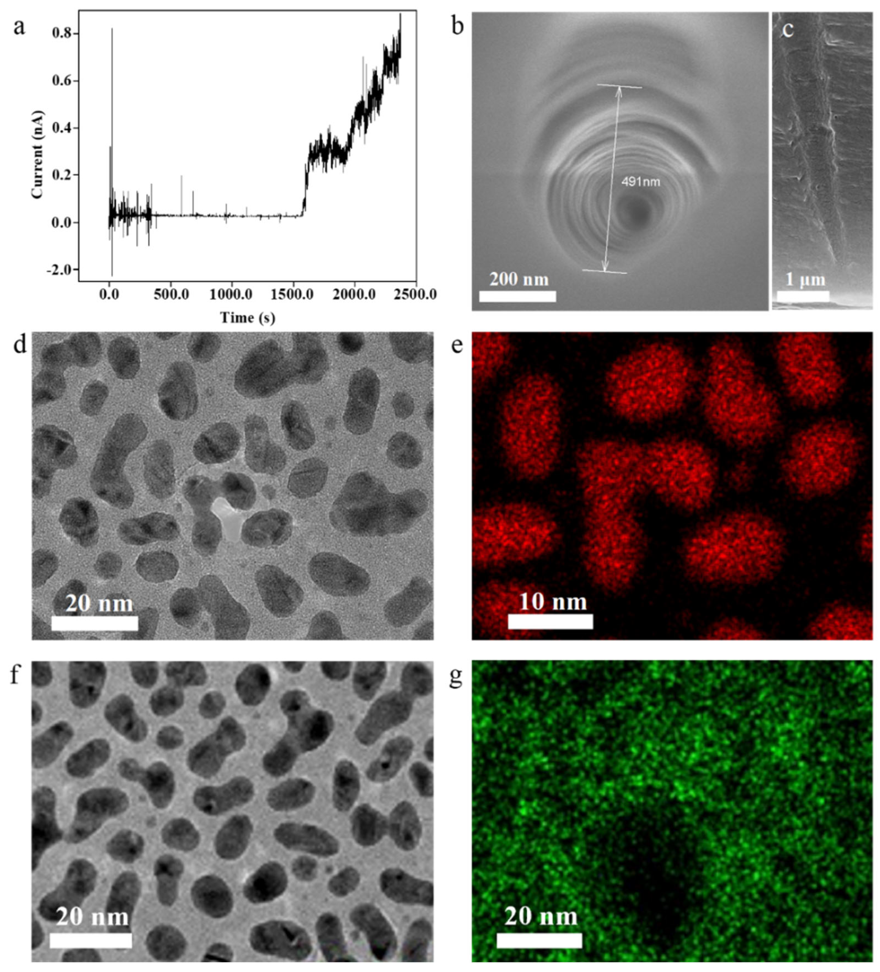 Biosensors 15 00751 g001