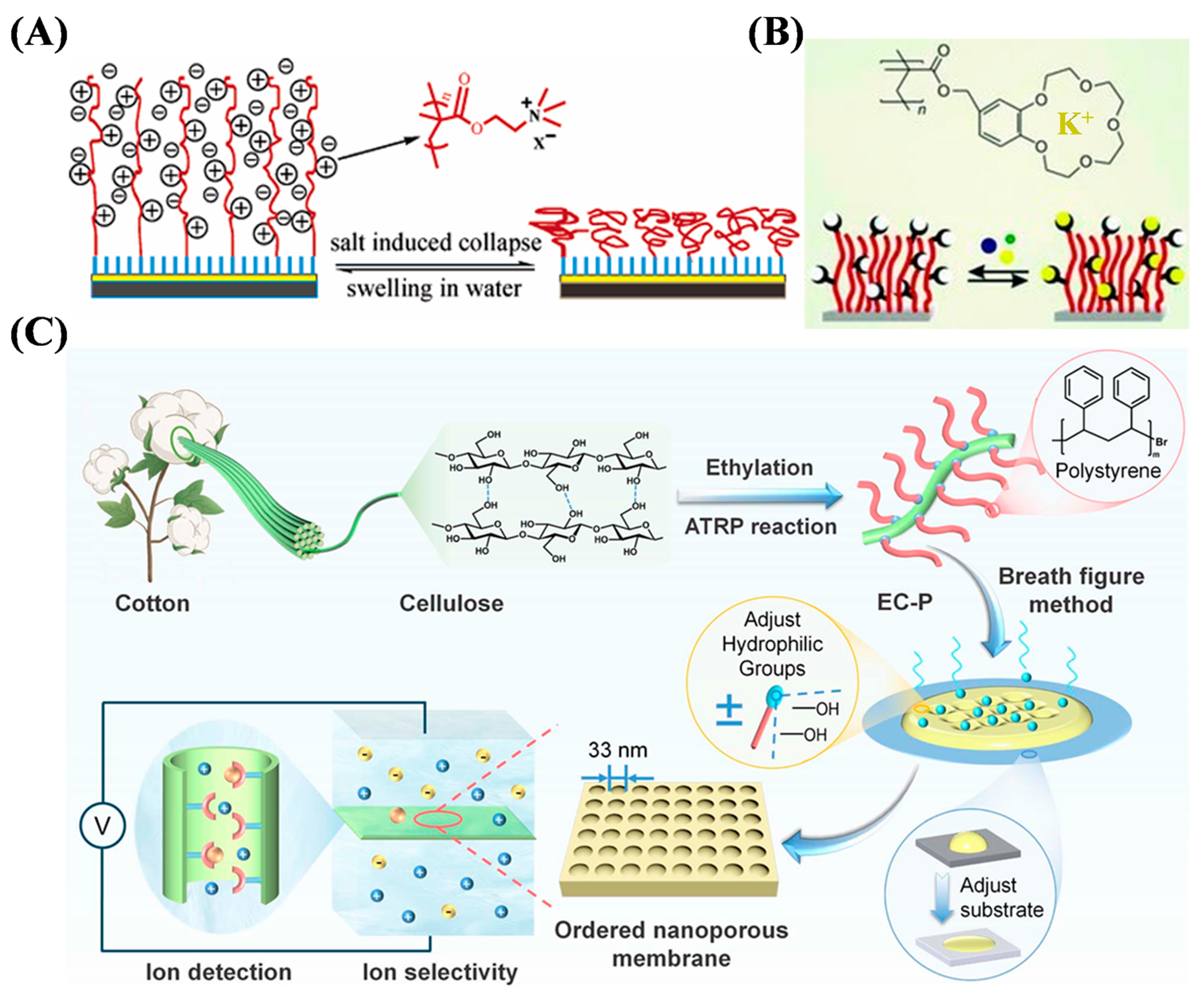 Biosensors 15 00752 g001