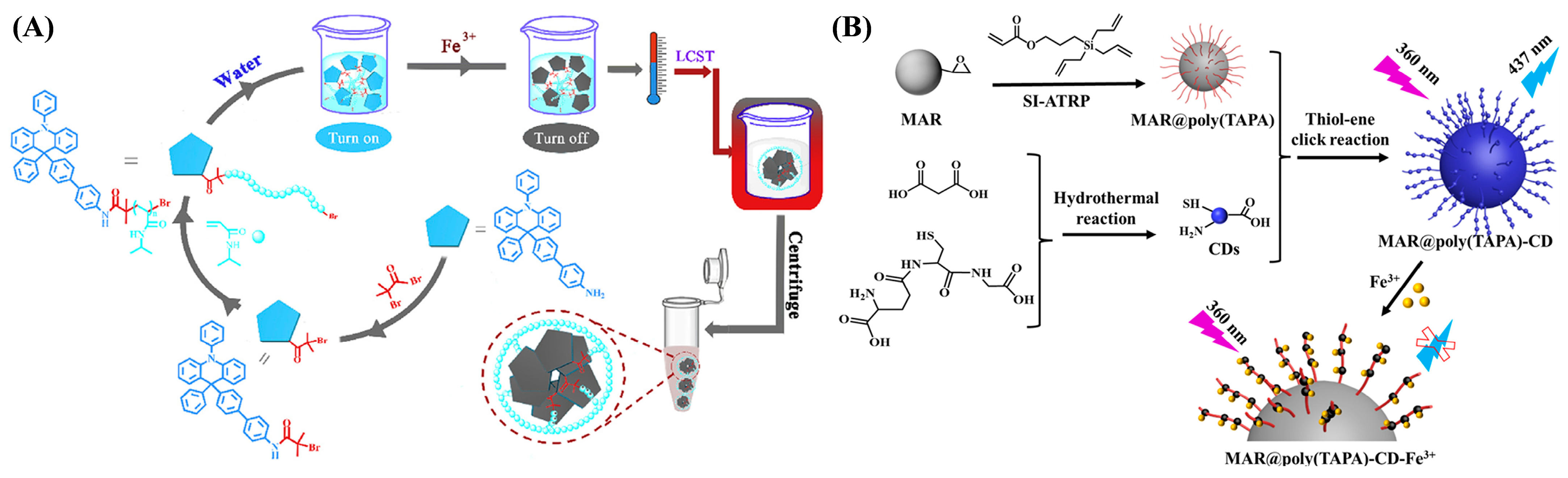 Biosensors 15 00752 g002